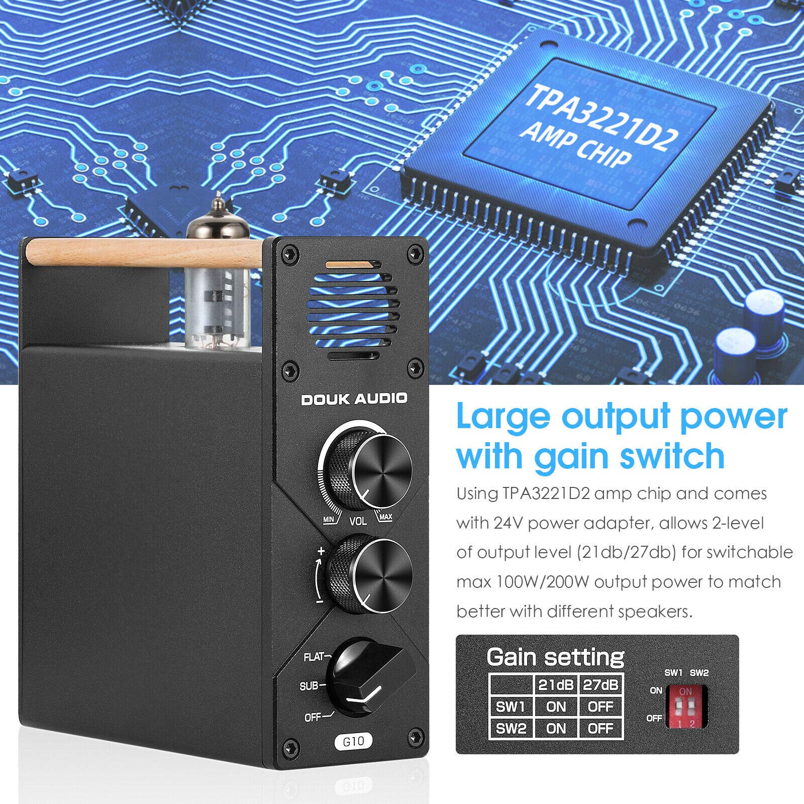 Douk Audio G10 Mono Channel Tube Amplifier Subwoofer / Fullfrequency