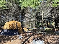 Review Image by Cristina Noriega Cristina Noriega