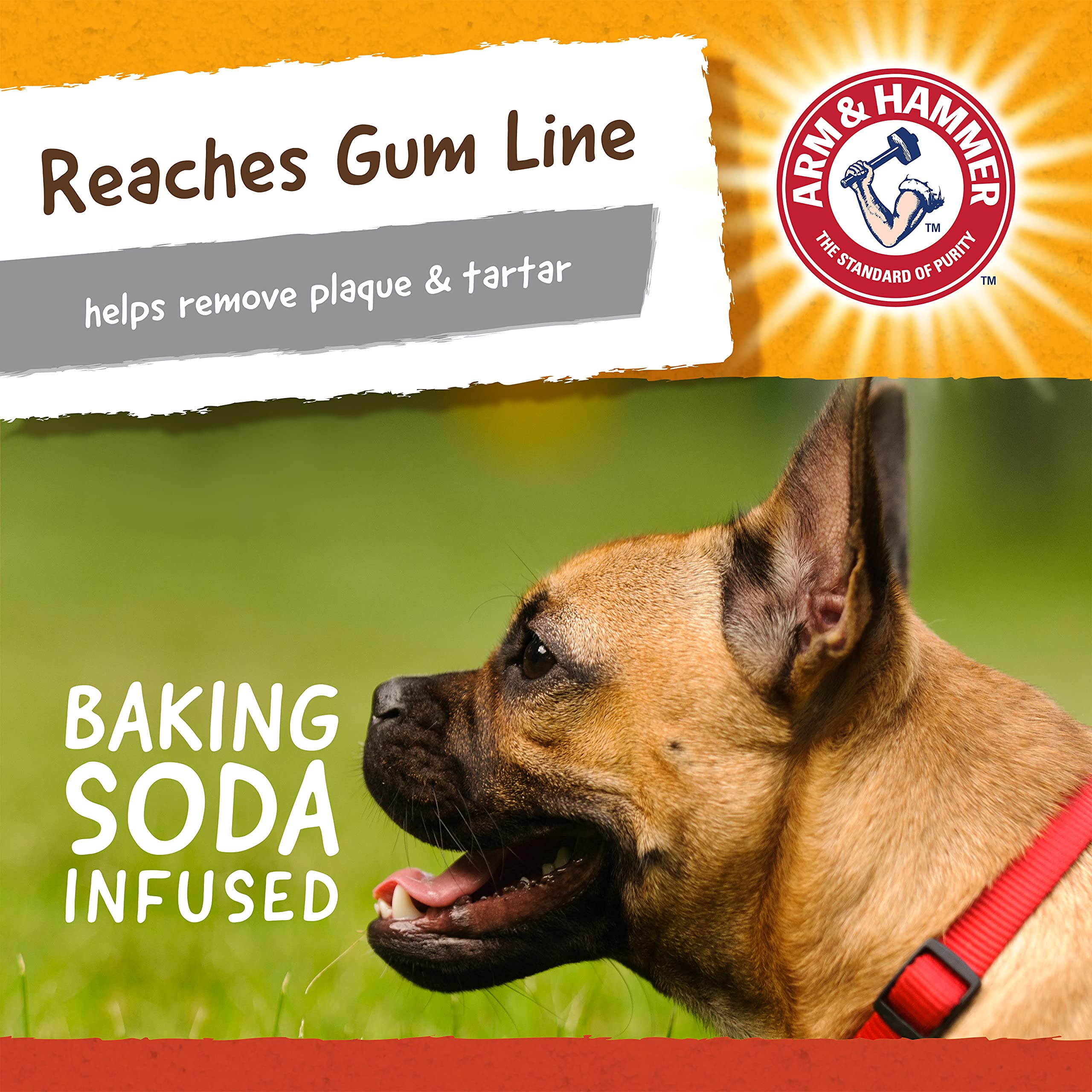 Arm & Hammer Super Treadz Mini Gorilla - Juguete Dental masticable para Perros, Juguetes masticables dentales para Perros Que reducen la acumulación de Placa y sarro sin cepillar para Perros de hasta | Infusión de bicarbonato de sodio, apto para lavavajil