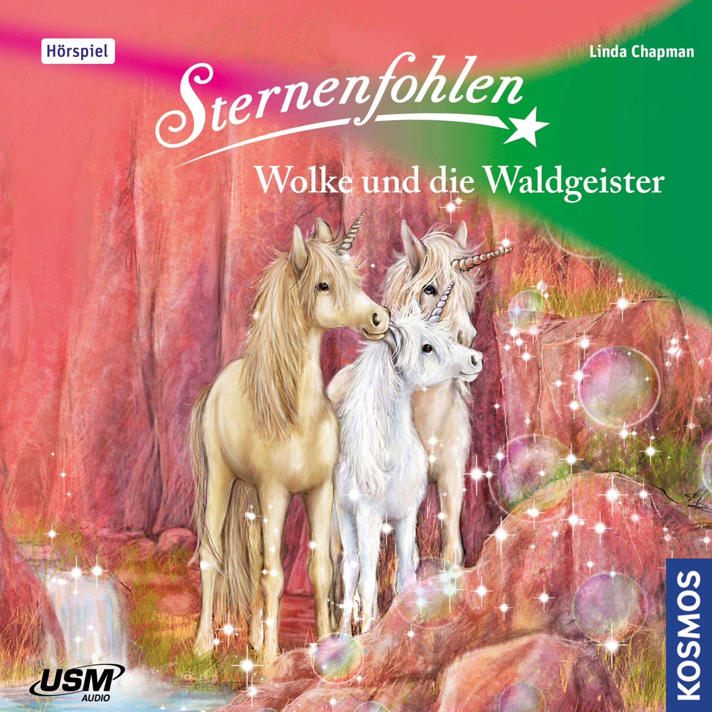 Cover art for Wolke und die Waldgeister