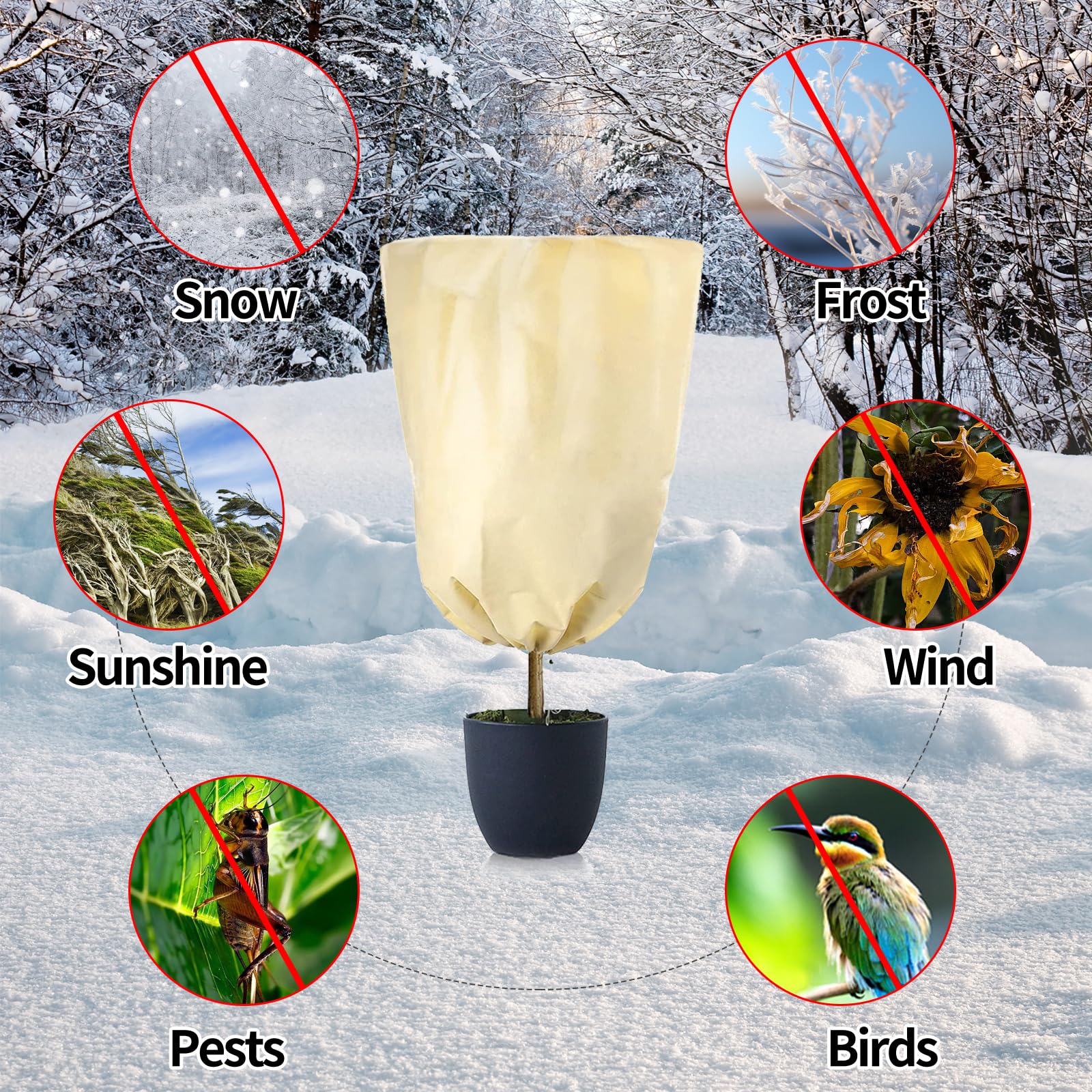 LangRay Voile Hivernage Plantes 2 Pièces 60x80cm - Housse Protection 80g/m² Avec Fermeture Éclair Et Cordon