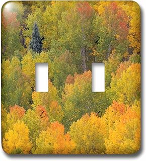 3dRose lsp_259075_2 USA, Colorado, Rocky Mountains. Autumn Yellow Aspens Toggle Switch, Multicolor