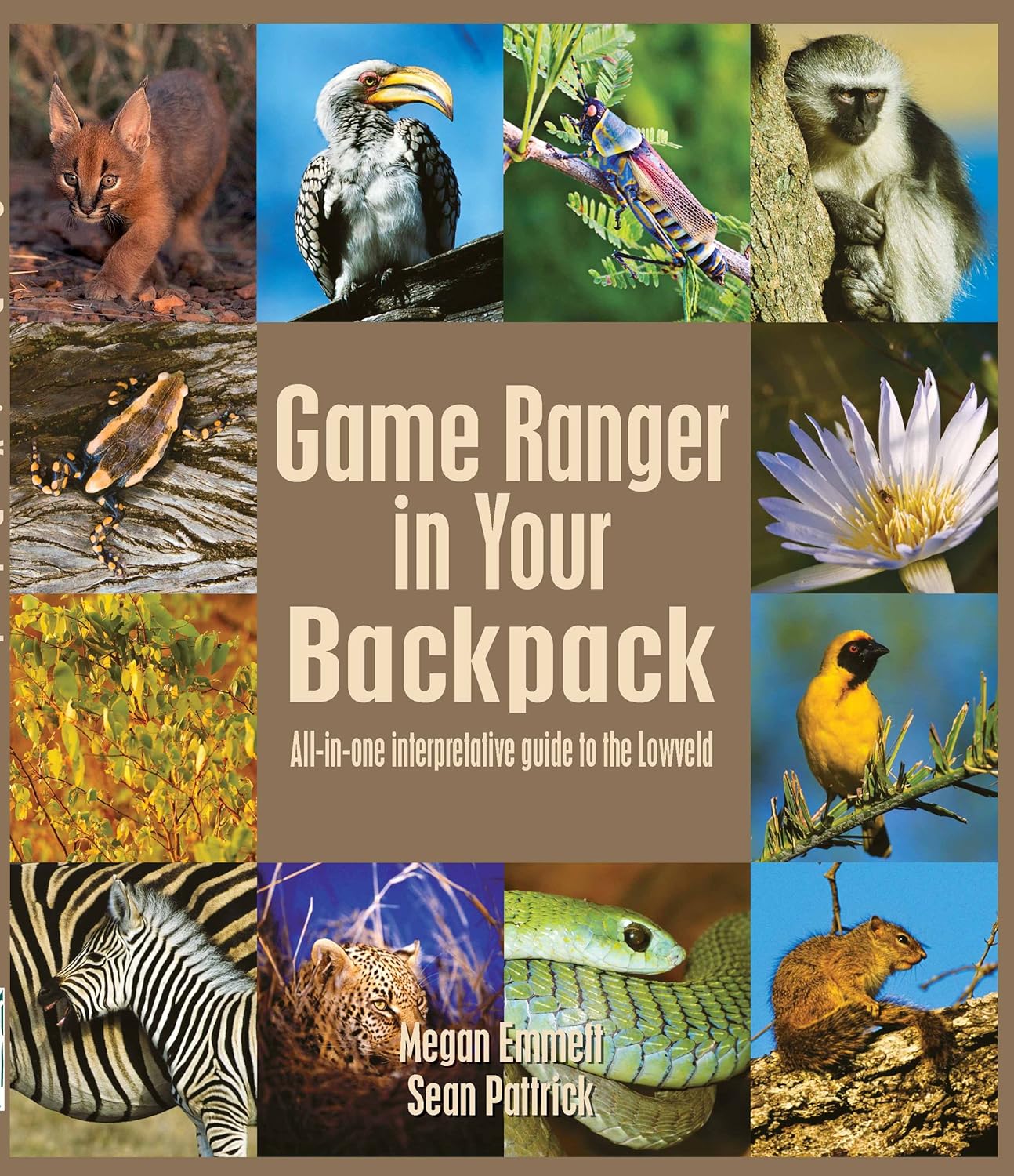 Game Ranger in your back pack: All-in-one interpretative guide to the Lowveld