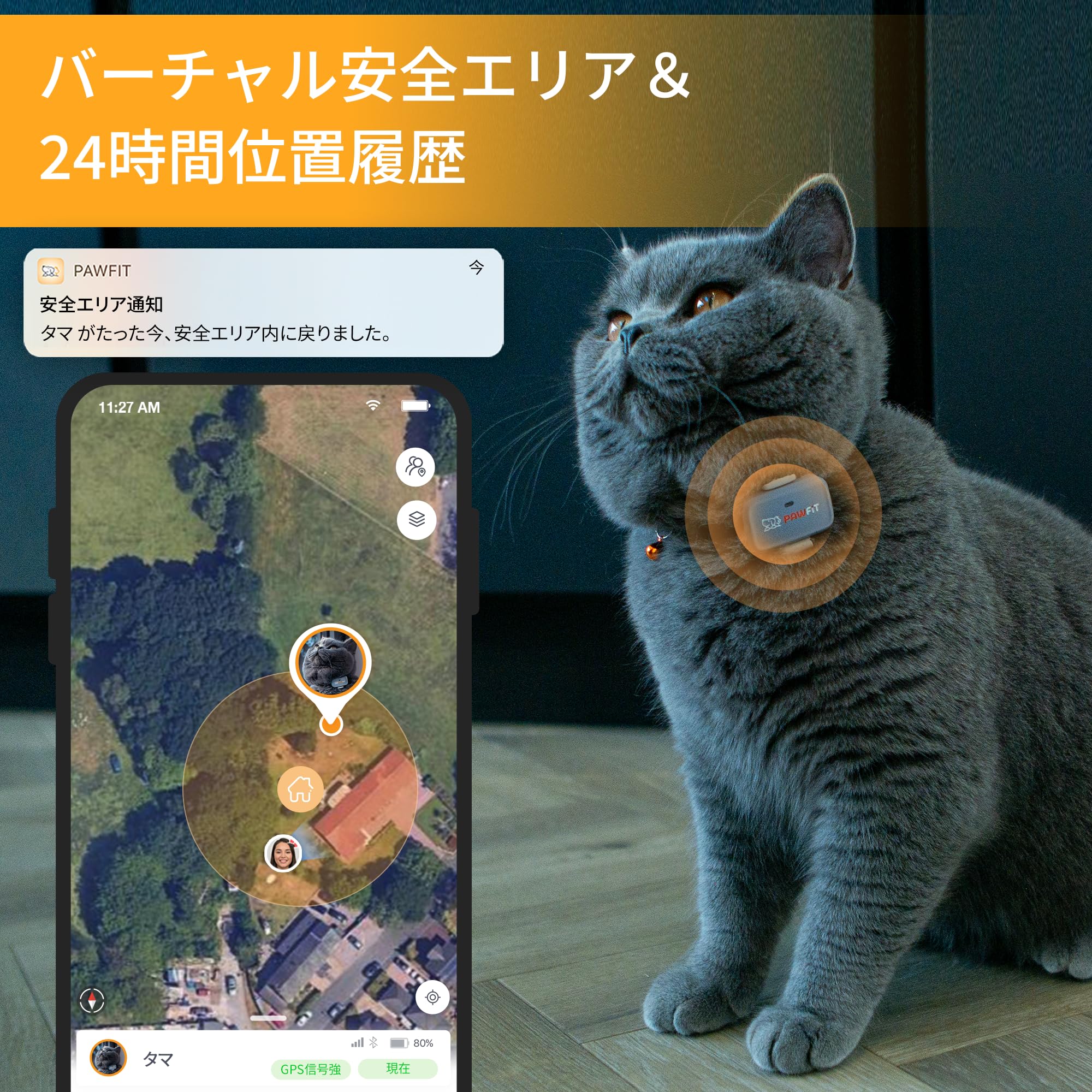 Amazon.co.jp: Pawfit Lite 4G GPS猫用トラッカー リアルタイム追跡 超