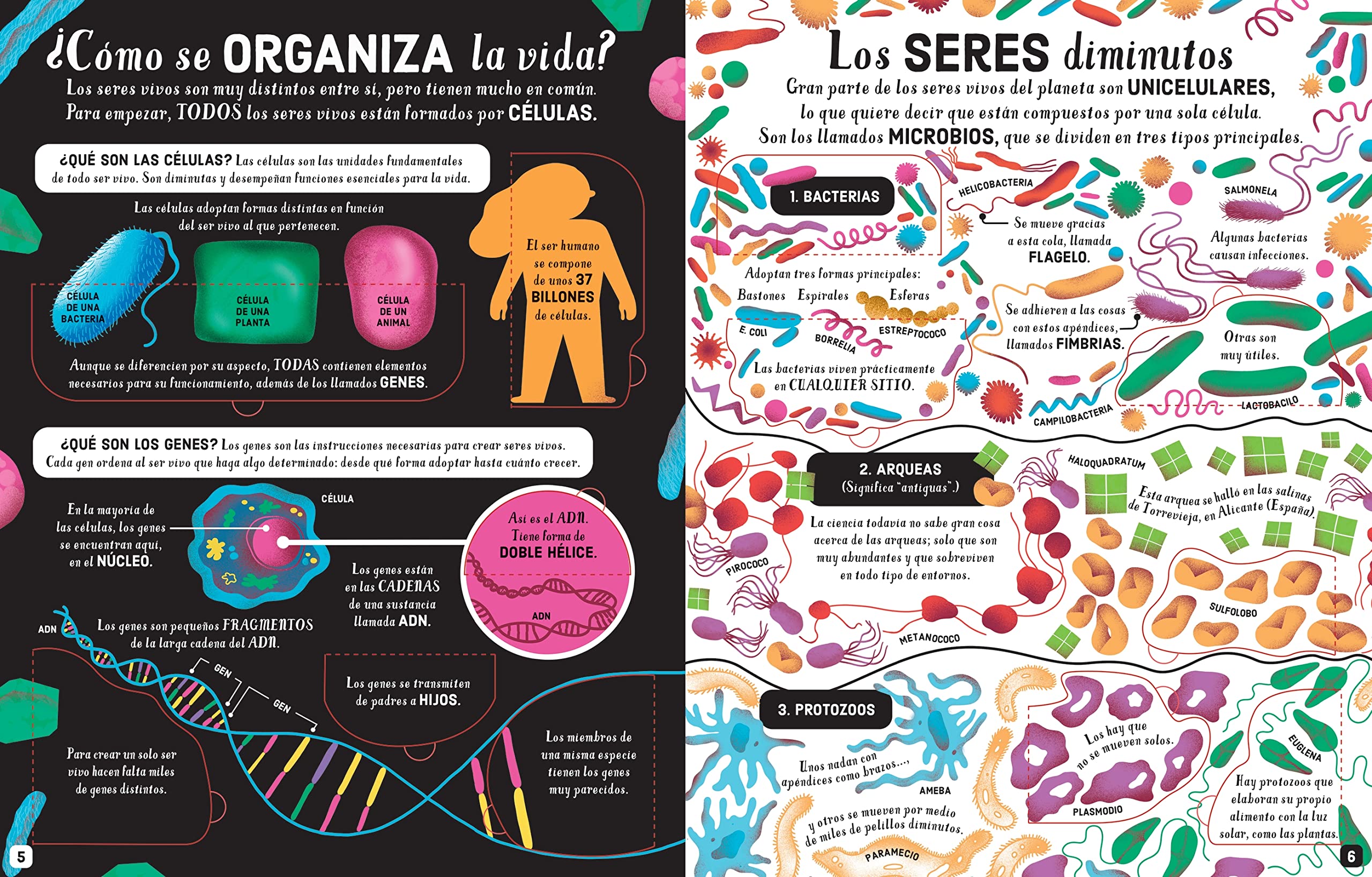 Los seres vivos