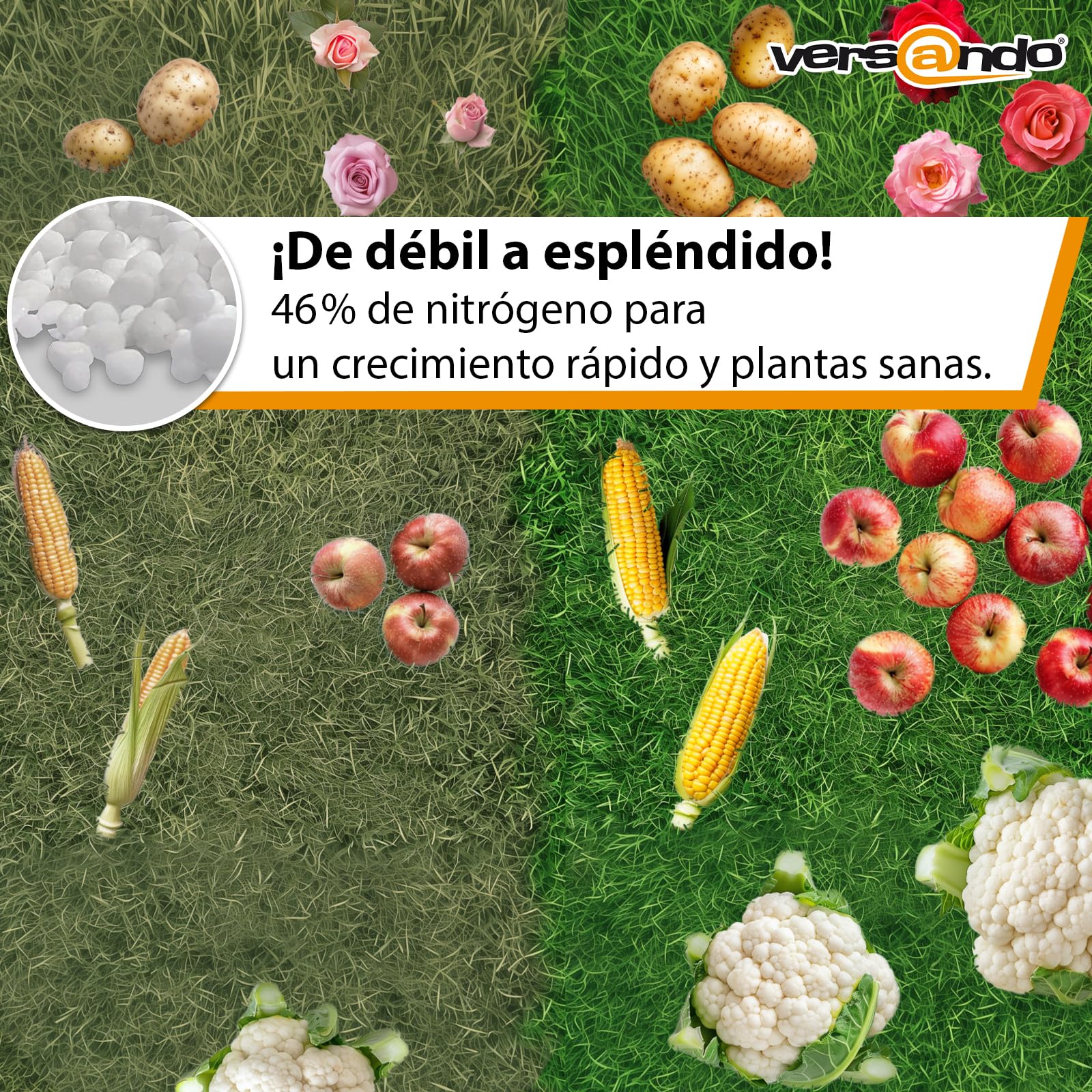 versando 10kg de abono nitrogenado hasta 1000m² - 46% de UREA para césped, | hortalizas y flores, crecimiento exuberante y efecto a largo plazo
