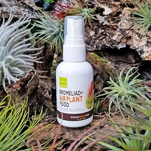 Miniatura 2 de The Drunken Gnome Tillandsia - Alimento y fertilizante para plantas de aire para un mejor crecimiento, color y flores (2 onzas más Mister)