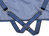 Vista 2 de LEAFOREST Alfombra de verano con cuello estándar de malla de caballo, color azul, 63 pulgadas