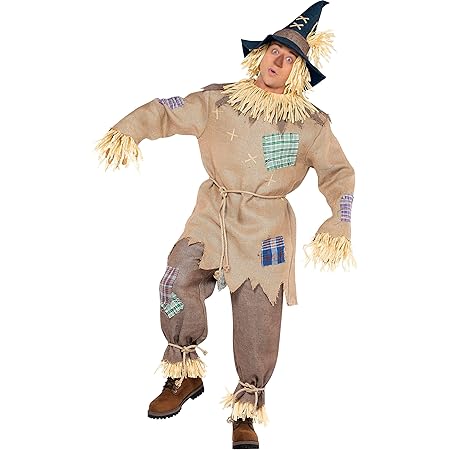 Vogelscheuche und dorothy kostuem