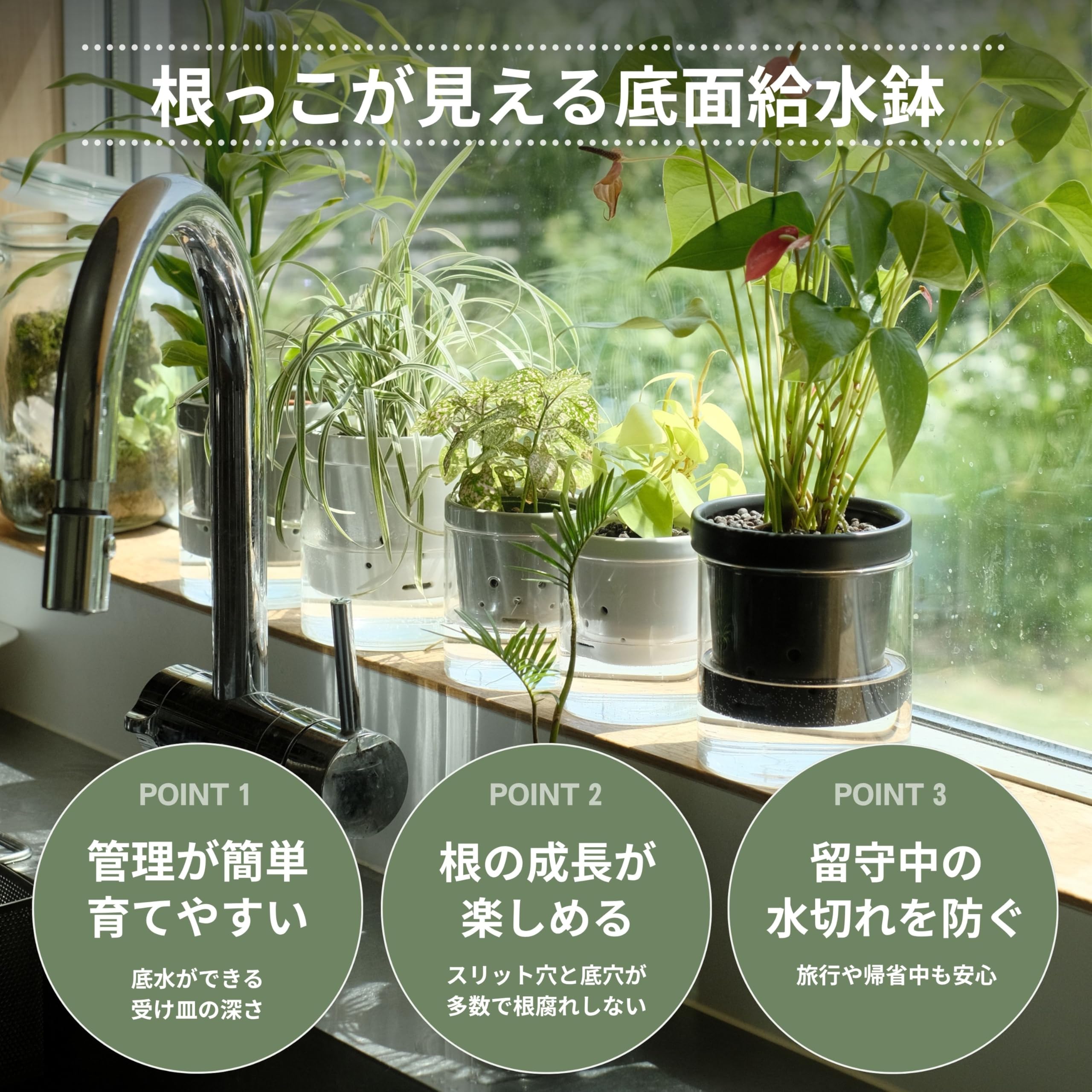 Amazon.co.jp: 根っこさん+つつ型 (グレー, Sサイズ) : DIY・工具