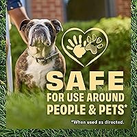 Vista 4 de O.M. Scott and Sons Clover Seed, semillas de césped cultivan un césped naturalmente de bajo mantenimiento, tolerante a la sequía, 1,000 pies