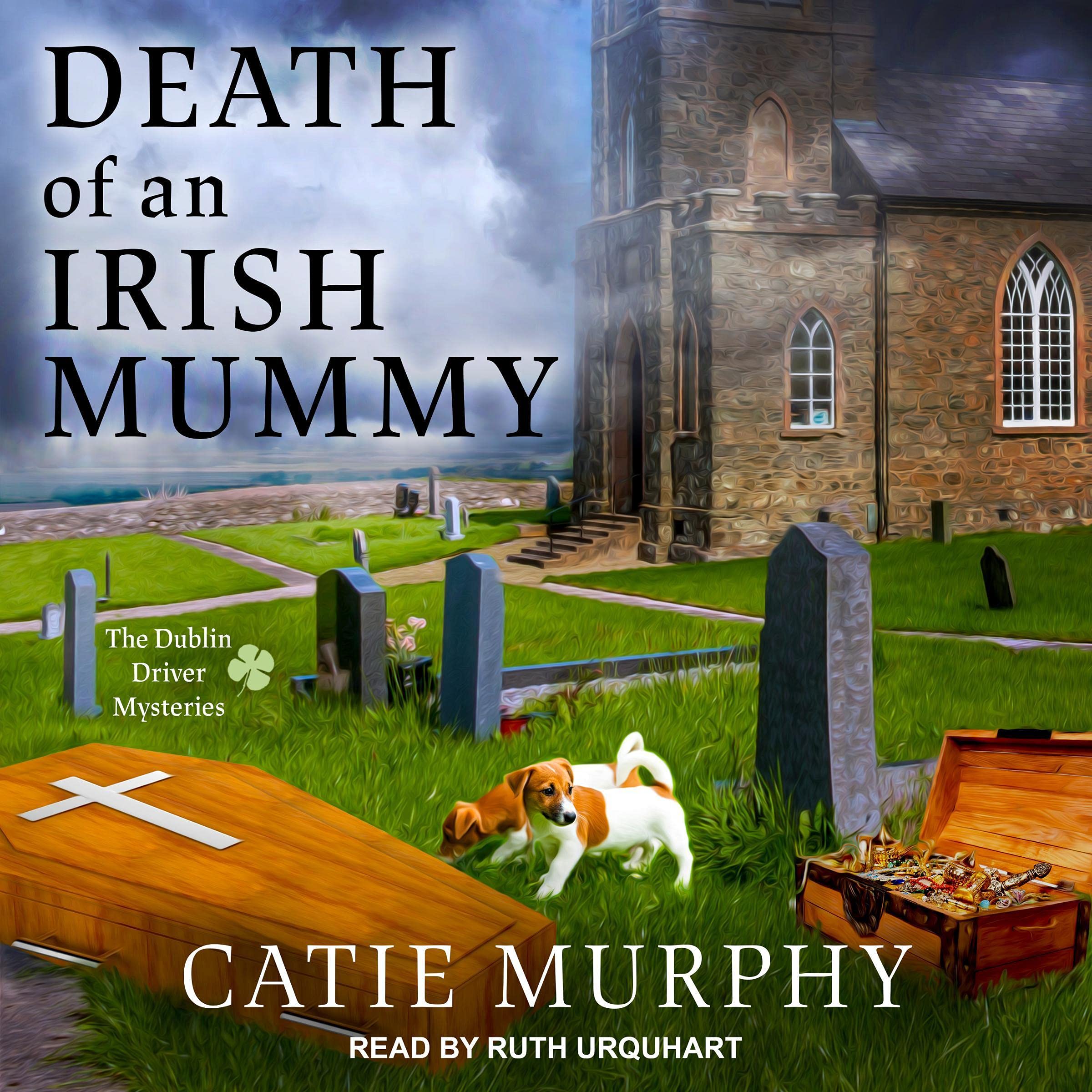 Cover art for Death of an Irish Mummy