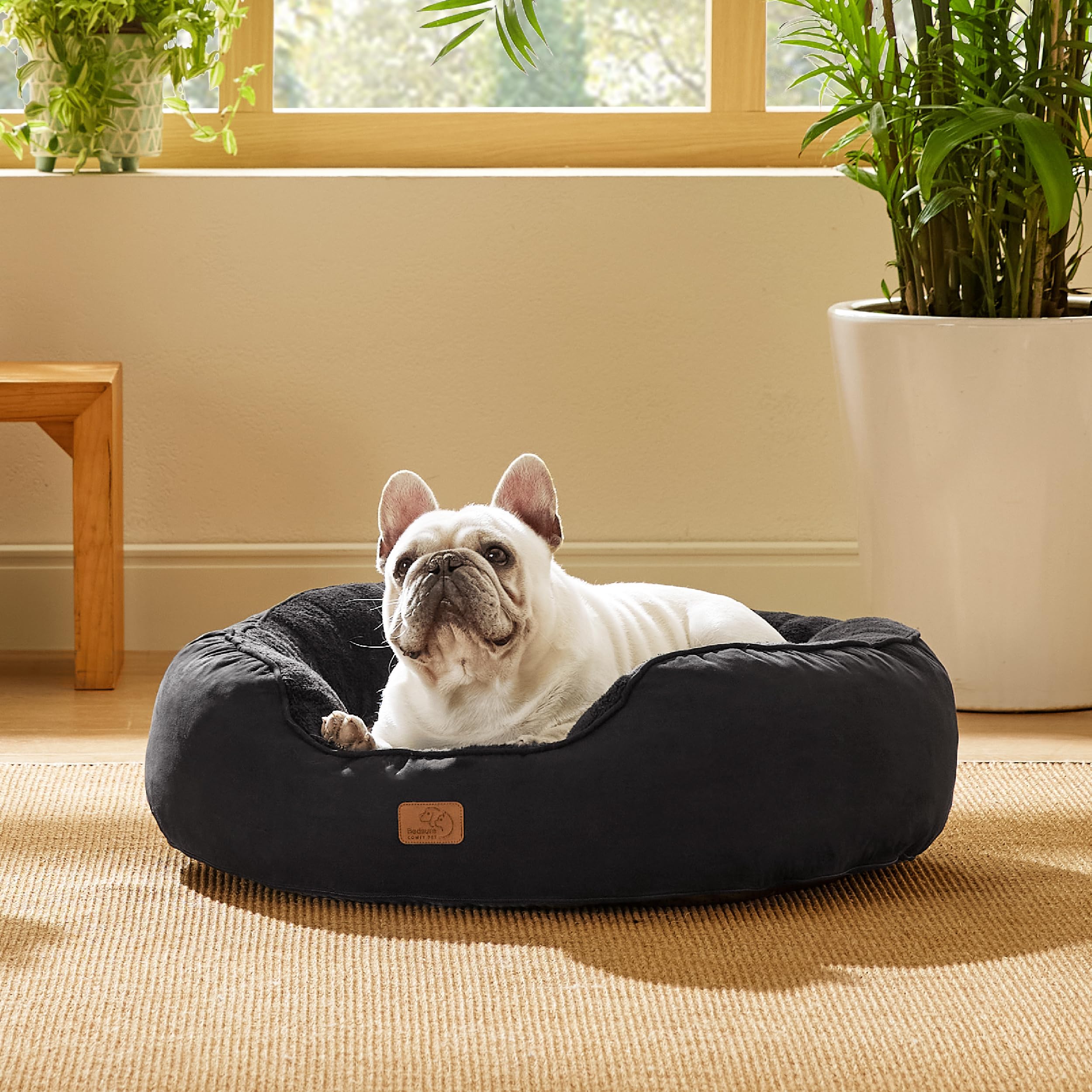 BEDSURE Katzenbett waschbar Katzen Bettchen - 76x61x20cm Katzen Bett mit Zweiseitig Innenkissen Katzenschlafplatz für oder kleine Hunde, Schwarz