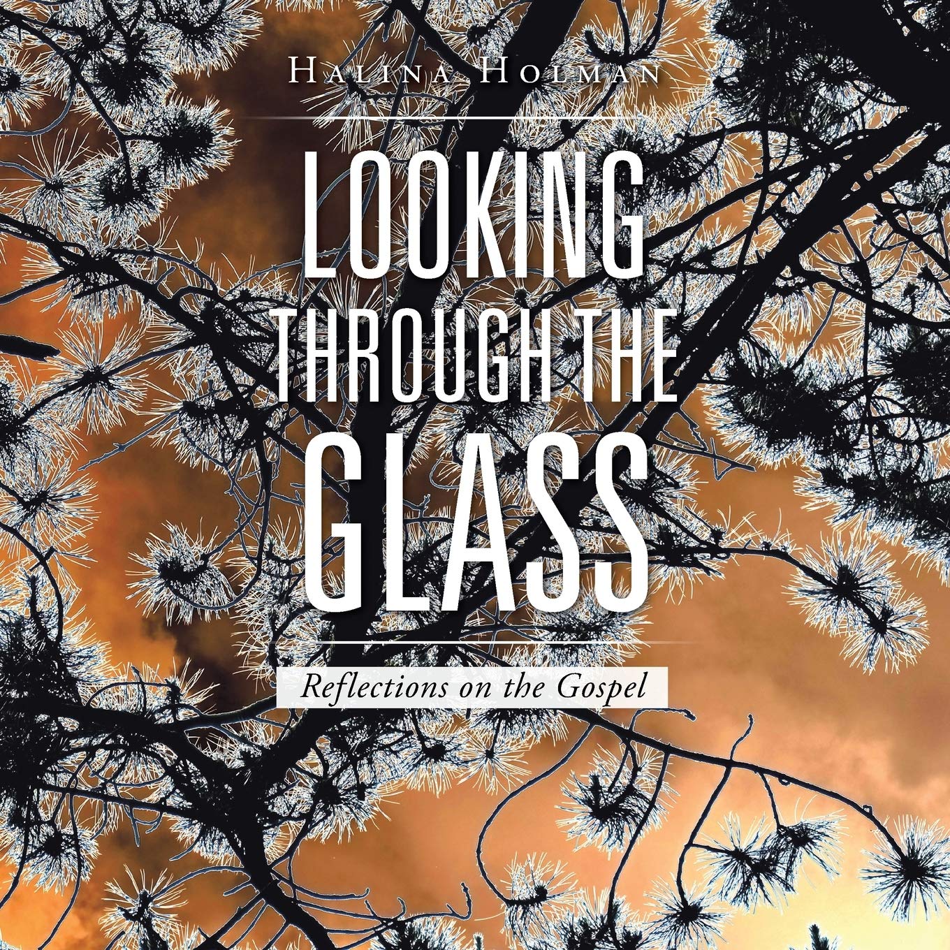 Looking through the Glass: Reflections on the Gospel