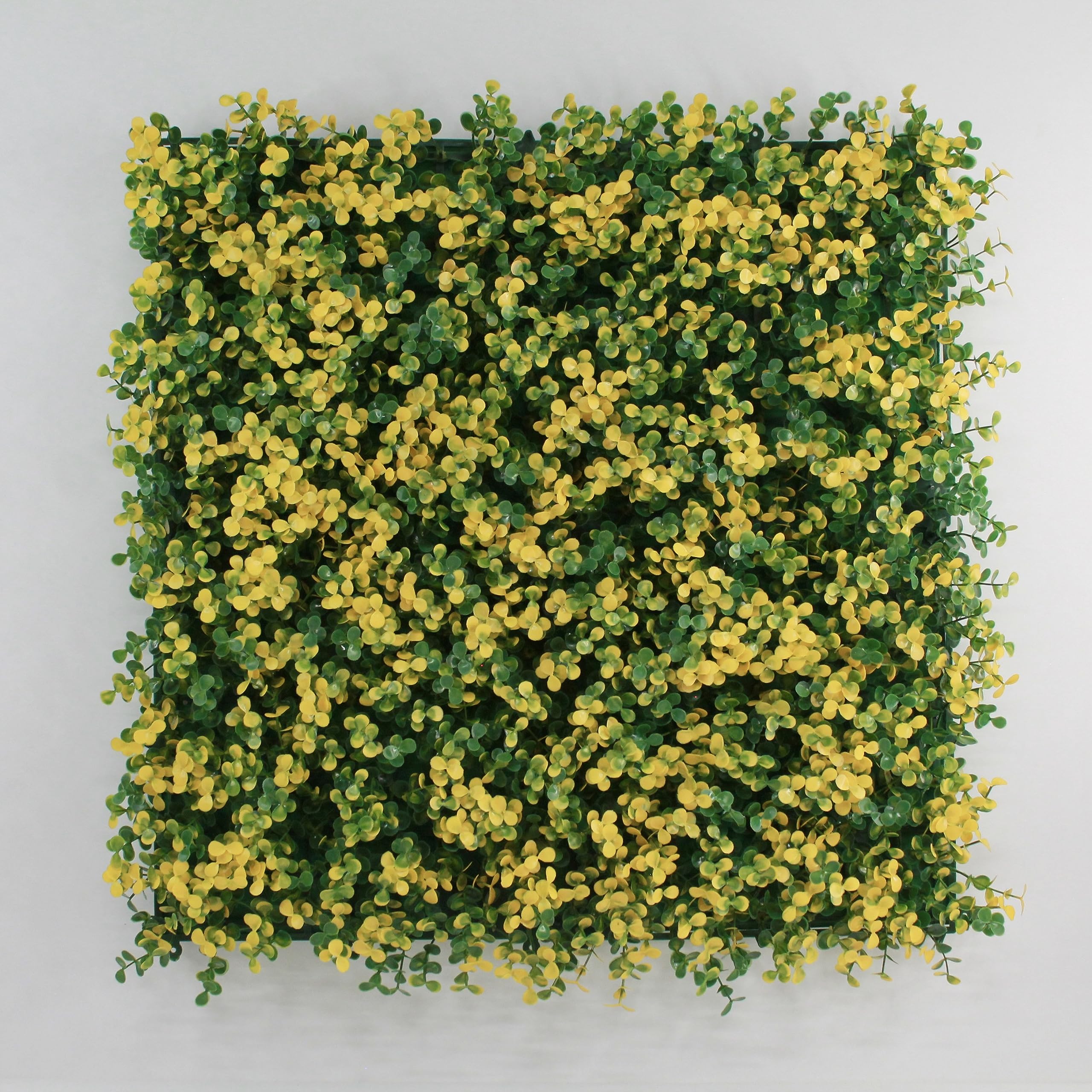 Césped Urbano - Follaje Artificial - Arrayán Muro Verde 3M2 ...