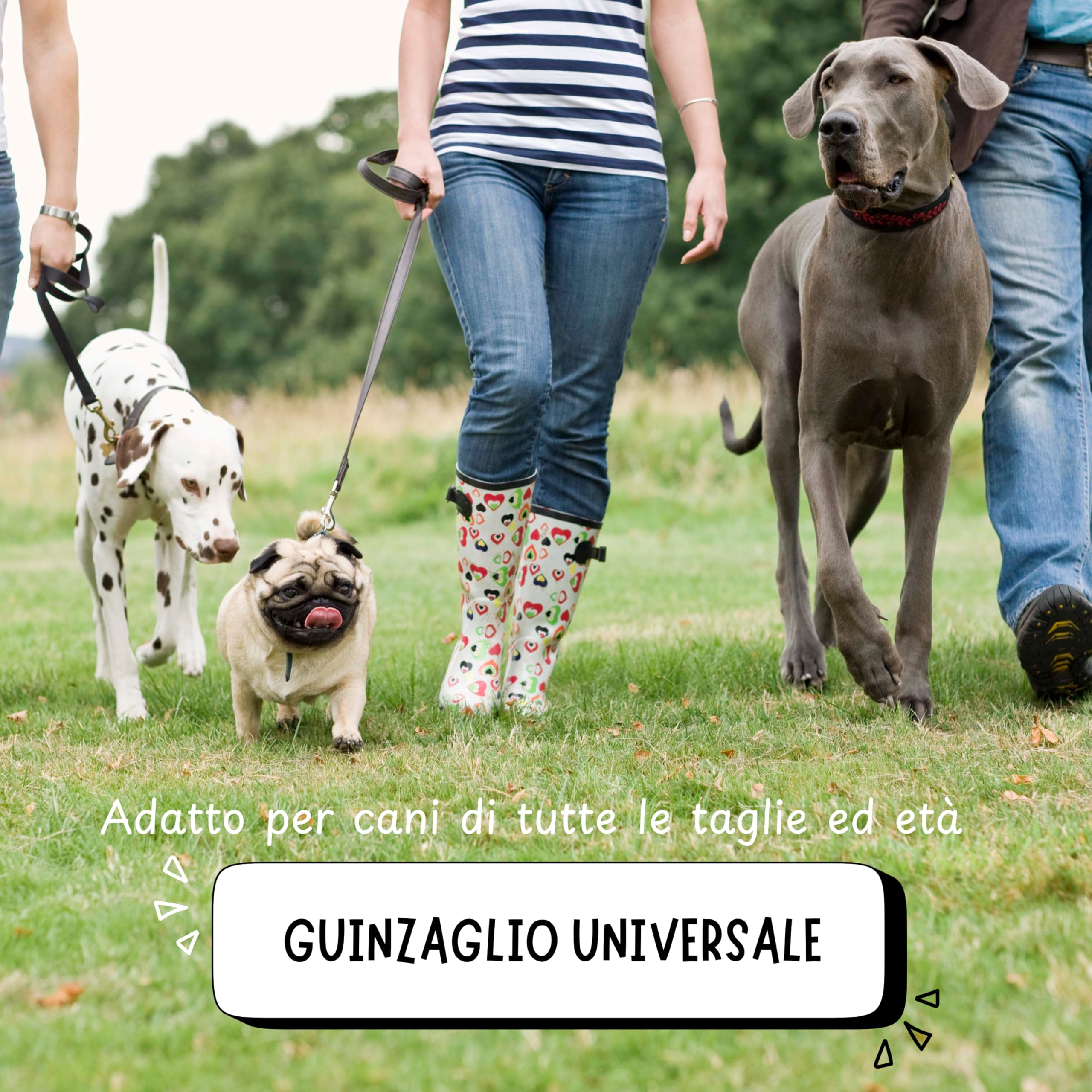 Lunghina Cane 10 Metri in Nylon Resistente – Guinzaglio Addestramento per Cani con Moschettone Girevole Antigroviglio - Nero