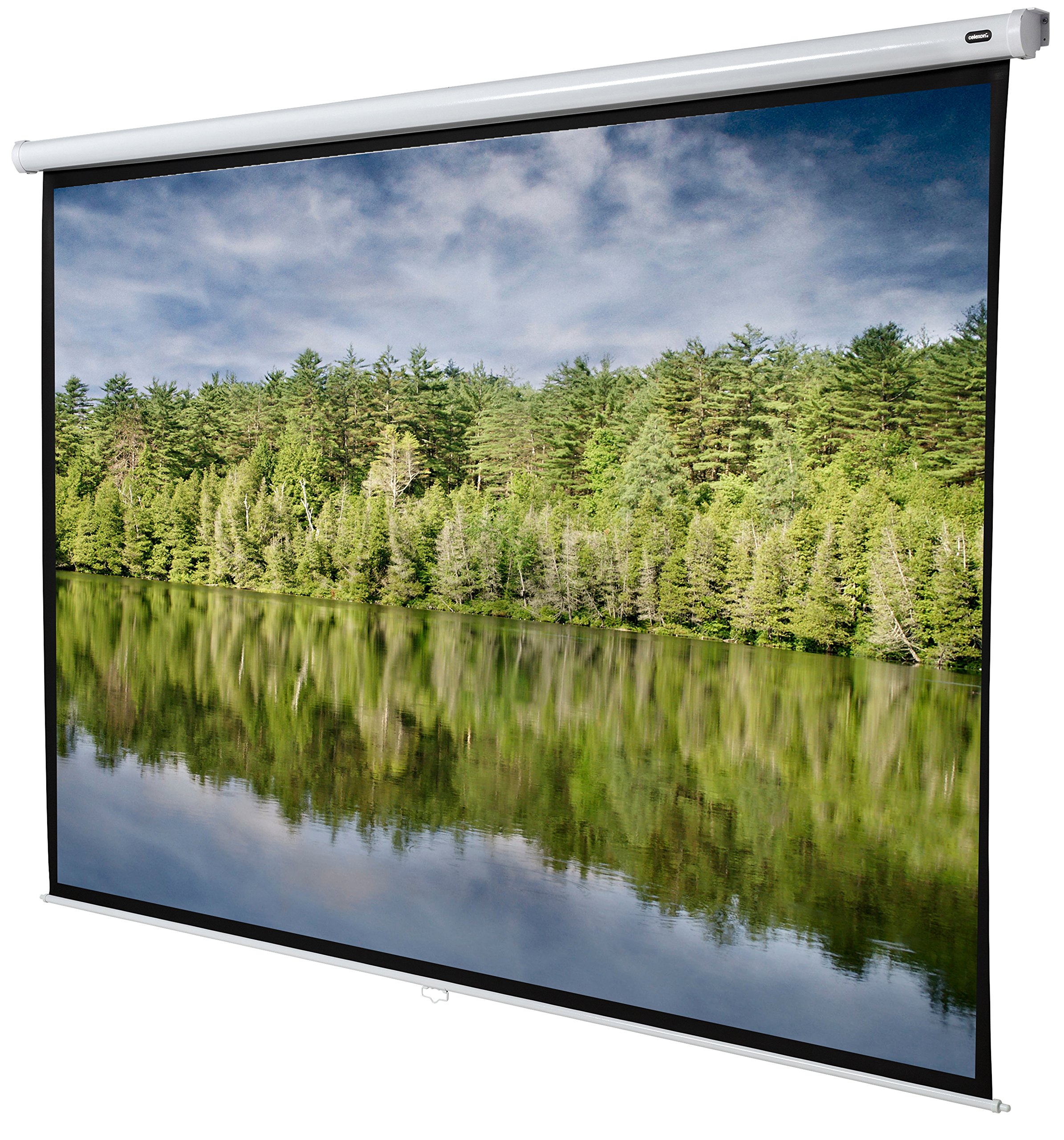 celexonProjector screen Manual Economy 280 x 210 cm
