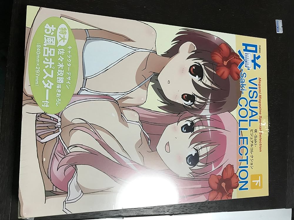 咲-Saki- ビジュアルファンブック全巻セット 咲画集 咲15thアニバ 咲 saki 全国編 ビジュアルファンブック 上中下巻&全巻収納BOX