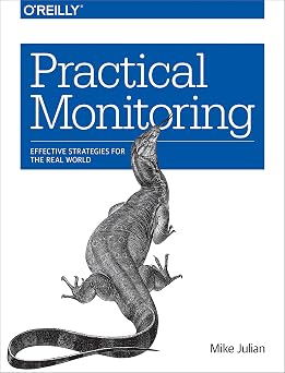 Practical Monitoring Effective Strategies for the Real World