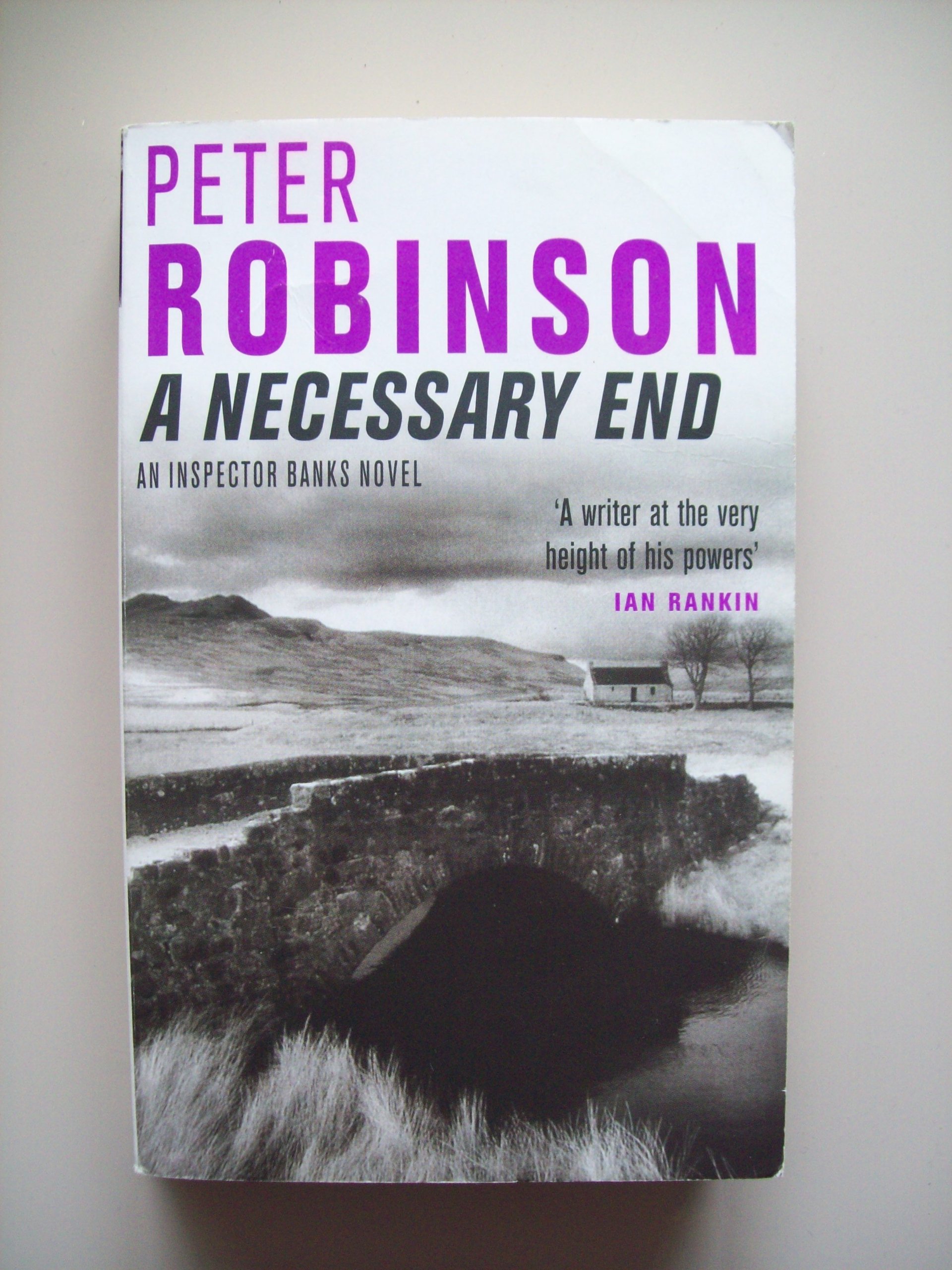 Buy A Necessary End โ BookShops.in