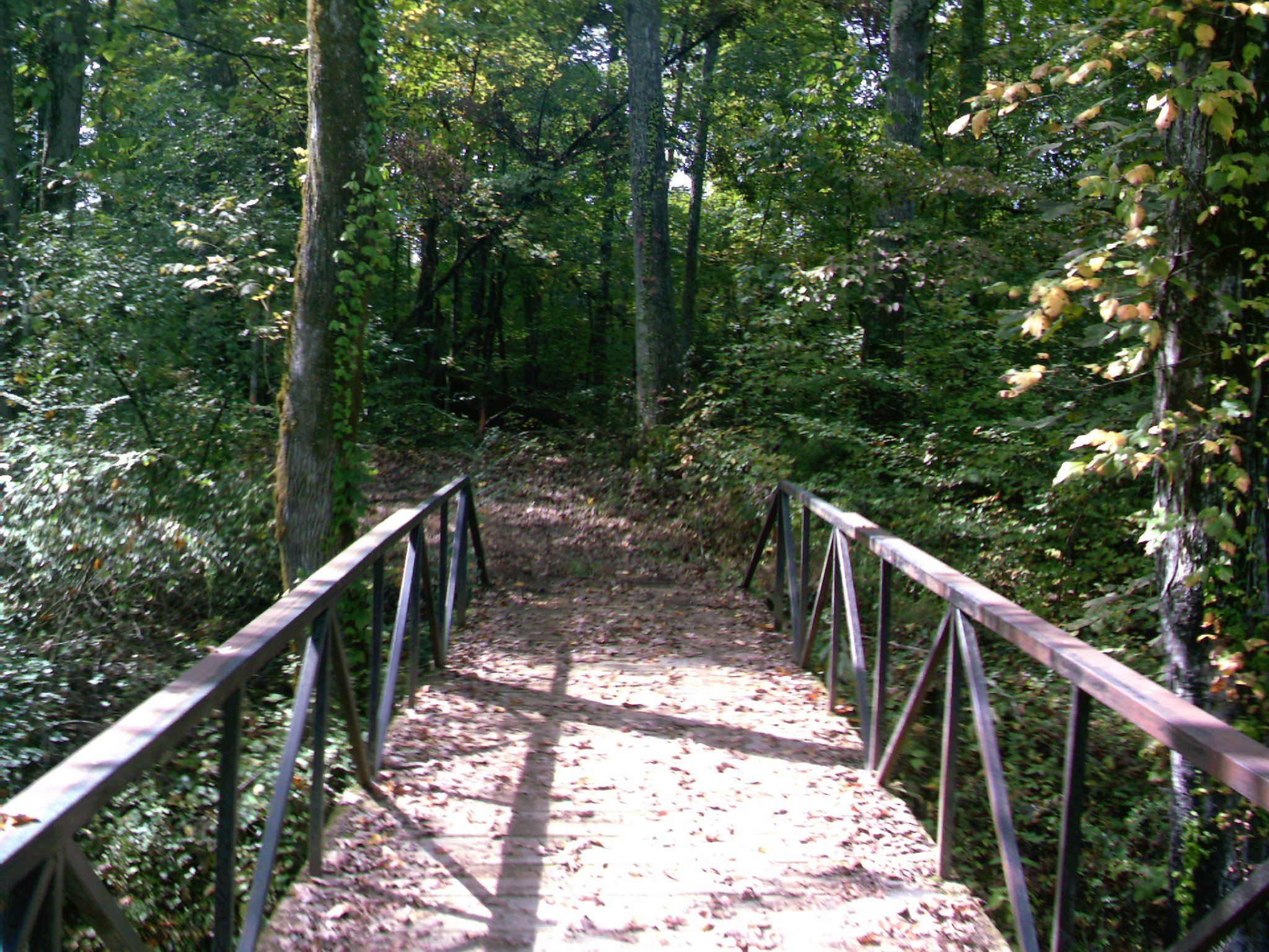 Cover of The Dead Walk Among the Living, Book 7