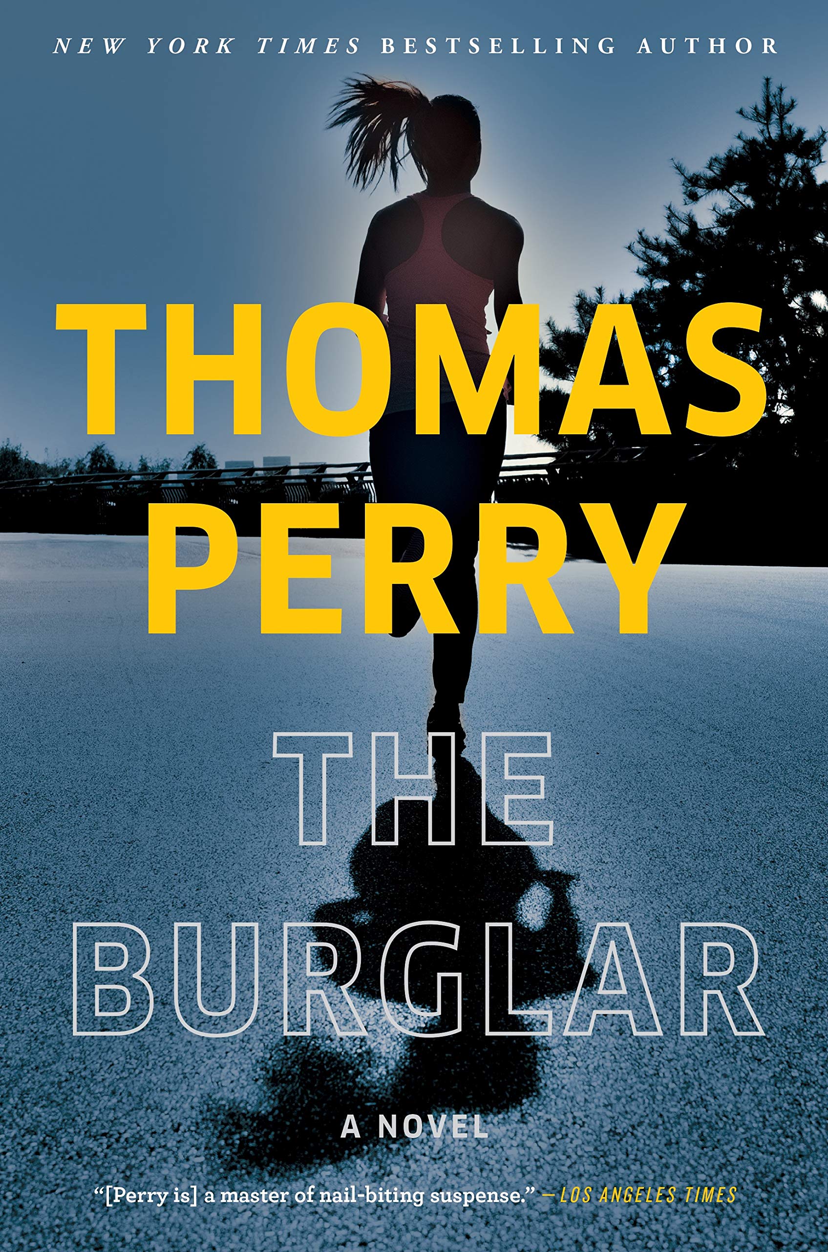 Buy Burglar — BookShops.in