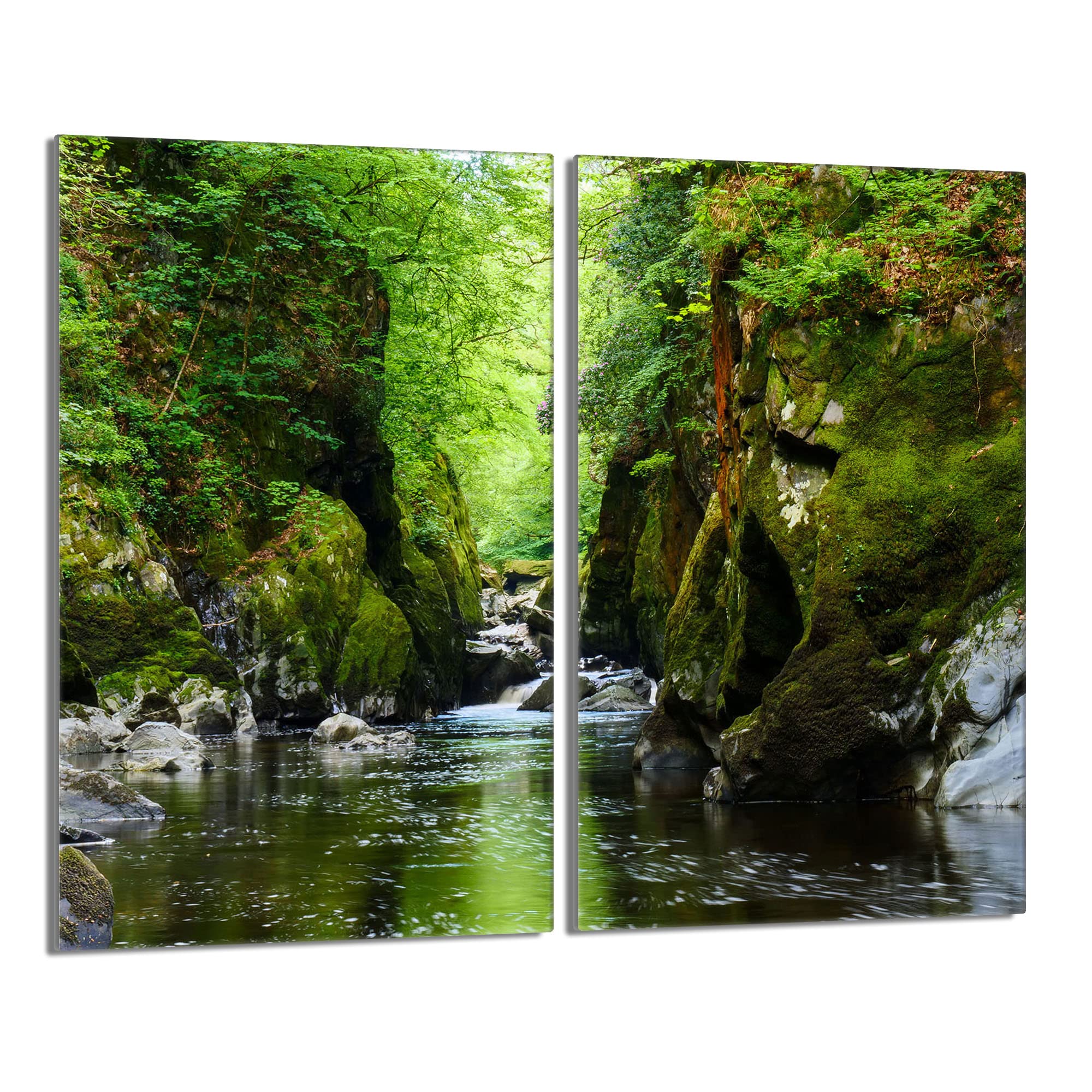 DarHaus Tabla de cortar decorativa de cristal templado y cubre vitro, Placa protectora de vitrocerámica 30 x 52 cm 2 piezas, para inducción, protección contra salpicaduras, decoración, BOSQUE