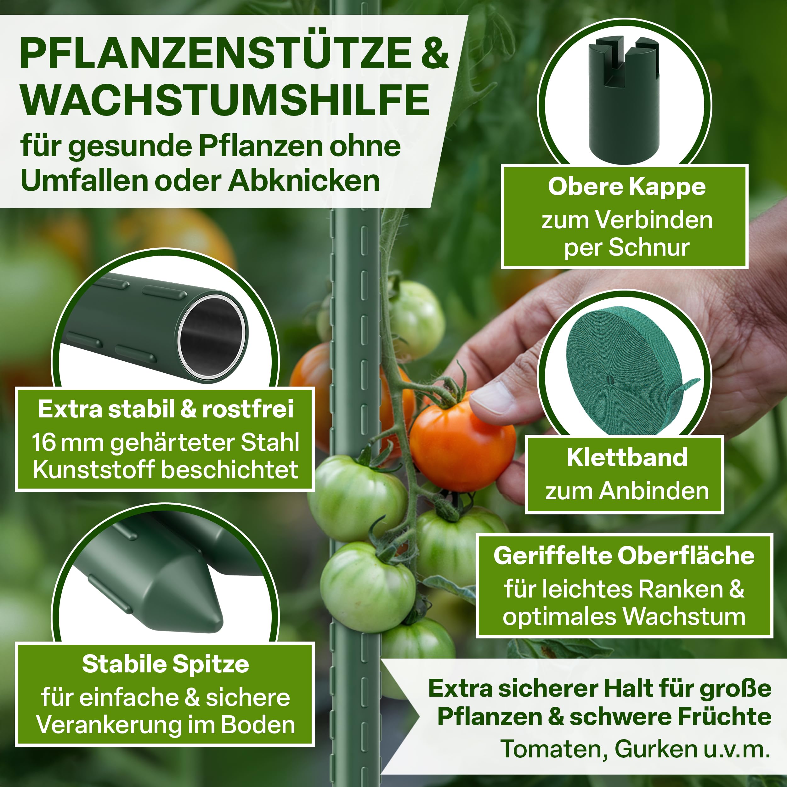 TTL GARDEN Rankstäbe 10er Set 150cm x 16mm Ø grün - extra stabile 16 mm Rankhilfe Pflanzstäbe + Klettband - Stahl rostfrei kunststoffbeschichtet Pflanzenstütze Blumenstütze Tomaten Paprika & Blumen