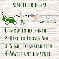 Vista 8 de Flawn Seed Kits Semilla de trébol holandés blanco, 1 libra, revestimiento orgánico, césped natural, cubierta del suelo, parcela de alimentos