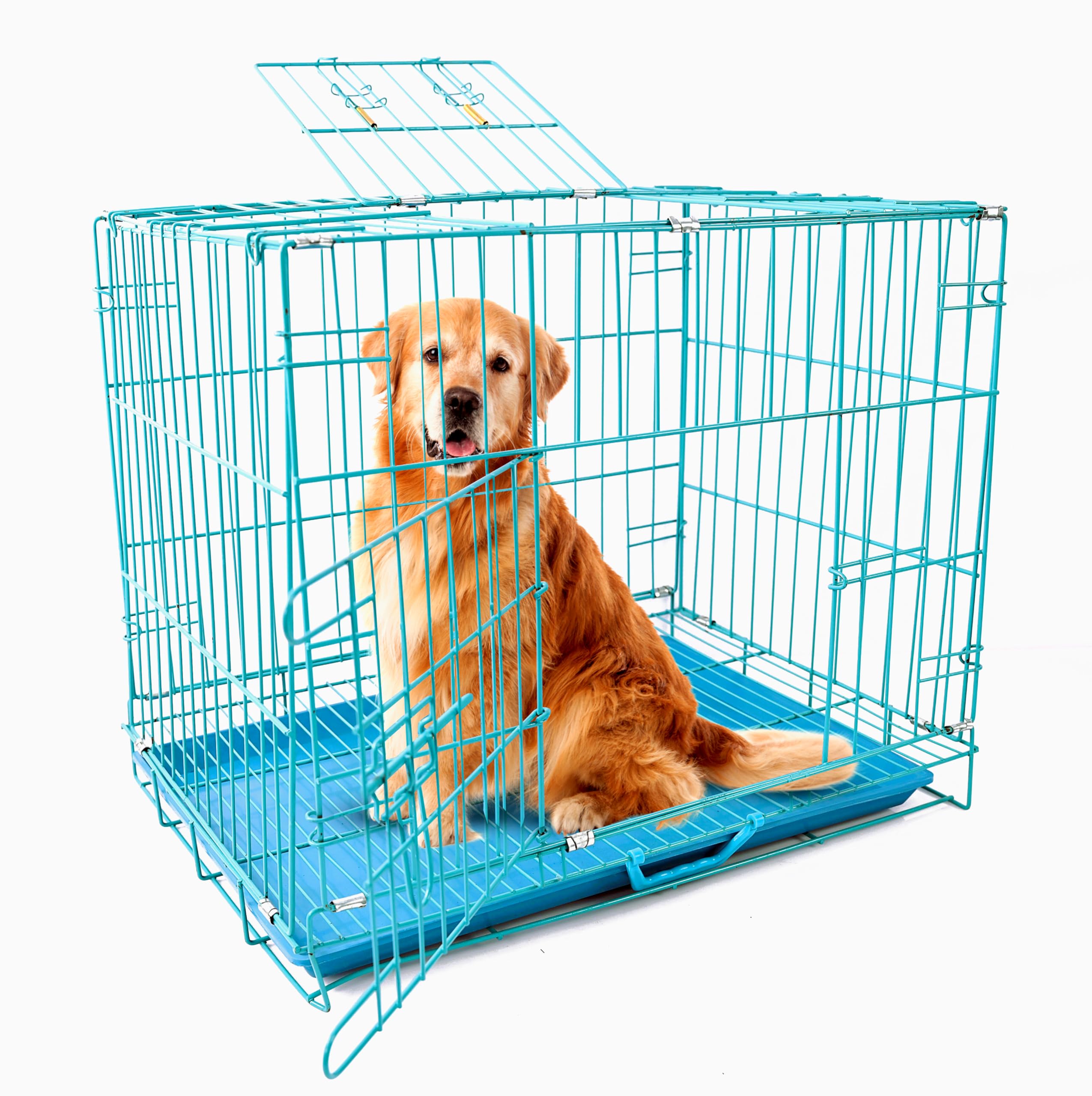 Woofy Cage House for New Born Puppies, Small Cats Kittens, Hamsters, Rabbits, Guinea Pigs Kennel & Travel Carrier Double Door Heavy Duty Folding Metal Cage Length 24 Inch (Blue)-image-4