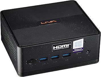 アニメショート ECS 小型デスクトップPC 「LIVA Z2」シリーズ LIVAZ2-4