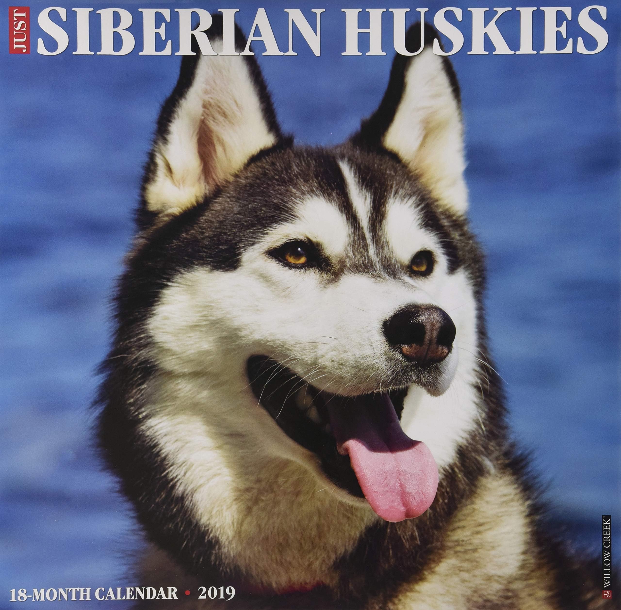 Just Siberian Huskies 2019 Wall Calendar (Dog Breed Calendar)