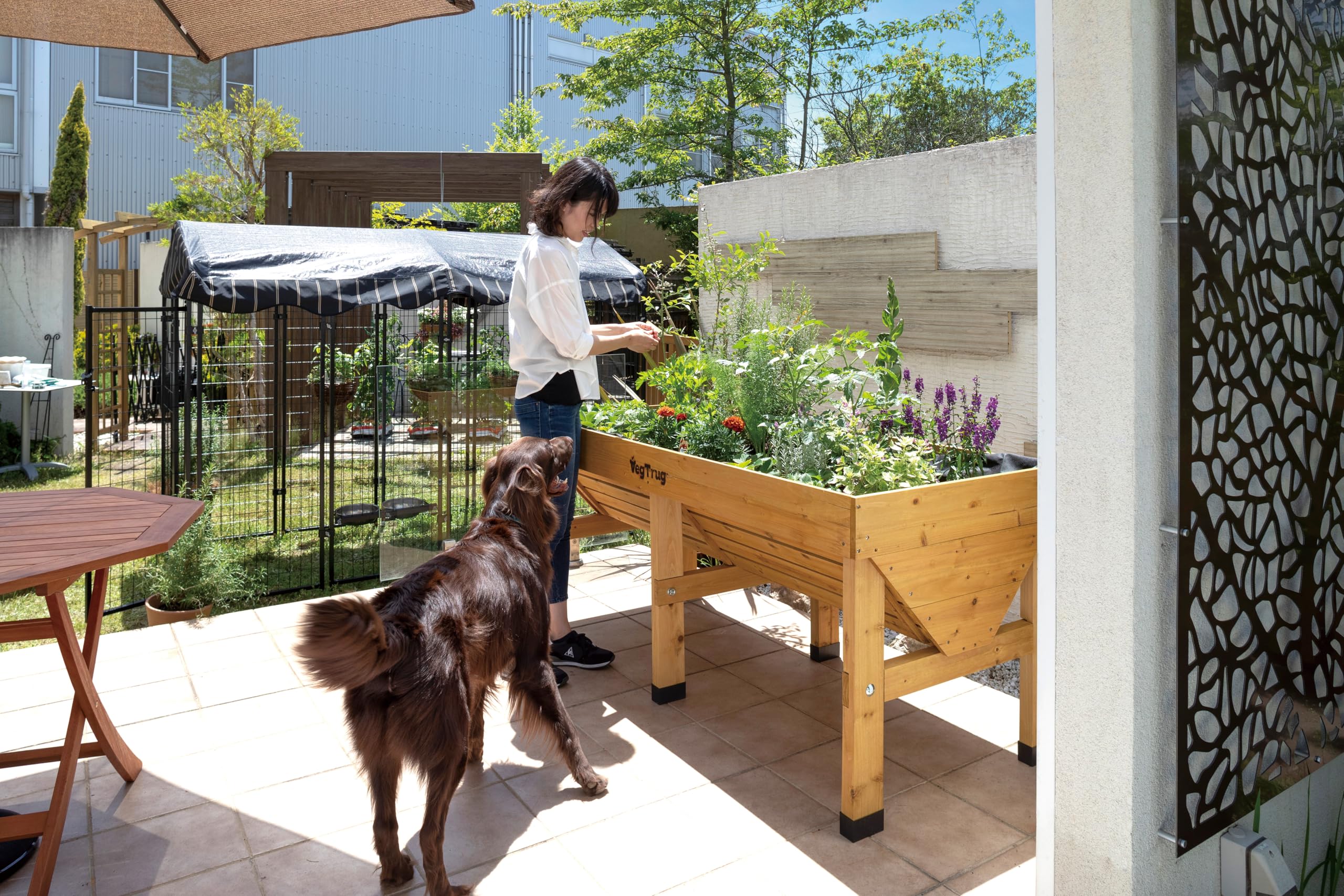 VegTrug Hochbeet Classic 1,8 m - Natural - 183 x 76 x 80 cm - ergonomisch | Pflanzkasten aus 100% FSC-Zedernholz - wetterfest für Balkon, Terrasse & Garten - platzsparendes Pflanzbeet mit Vlieseinlage