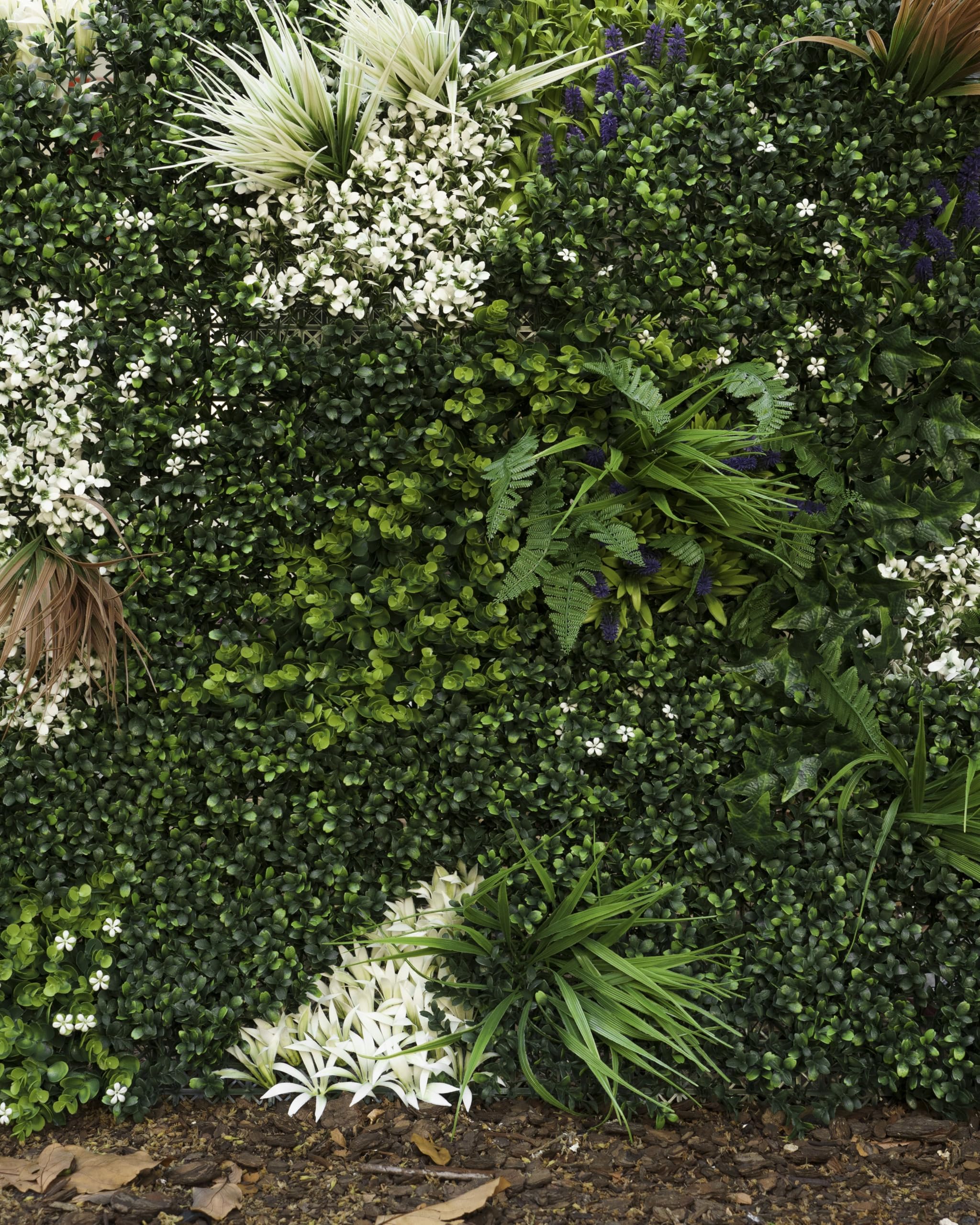 Jardín Vertical Artificial Exterior e Interior | Muro Vegetal Artificial 100 x 100 cm (1m²) | Protección UV | Diseño Moderno | Hiedra Tropical | Planta Decorativa Pared