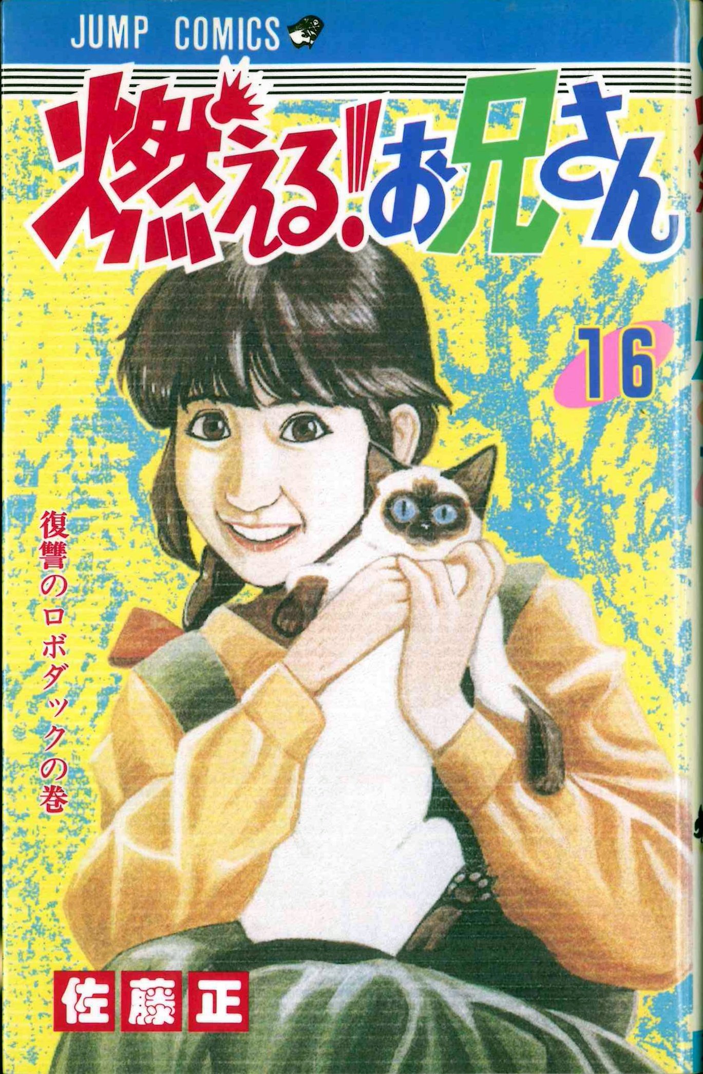 Amazon.co.jp: 佐藤 正: 本、バイオグラフィー、最新アップデート