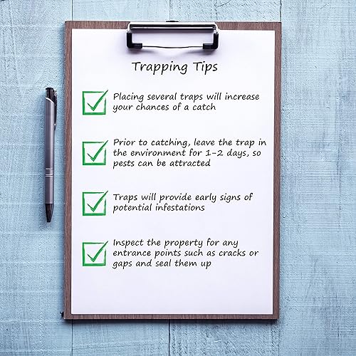 Miniatura 5 de KINGMAN PRIME Trampa pequeña para ratones con pegamento (4 trampas) para roedores, fácil y no tóxica