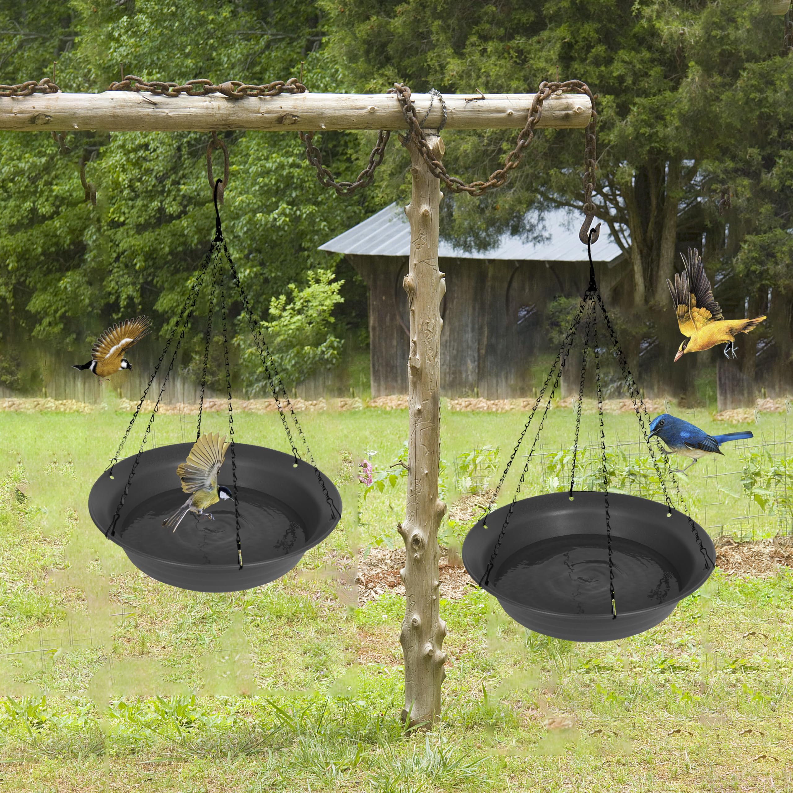 VUWEZ Hängende Vogeltränke zum Aufhängen, Vogelwasserfutterstation für den Außenbereich, Futterschale, 1 Packung Vogeltränke, Zubehör für draußen, Kunststoff-Vogeltränken Tablett für Garten, Terrasse