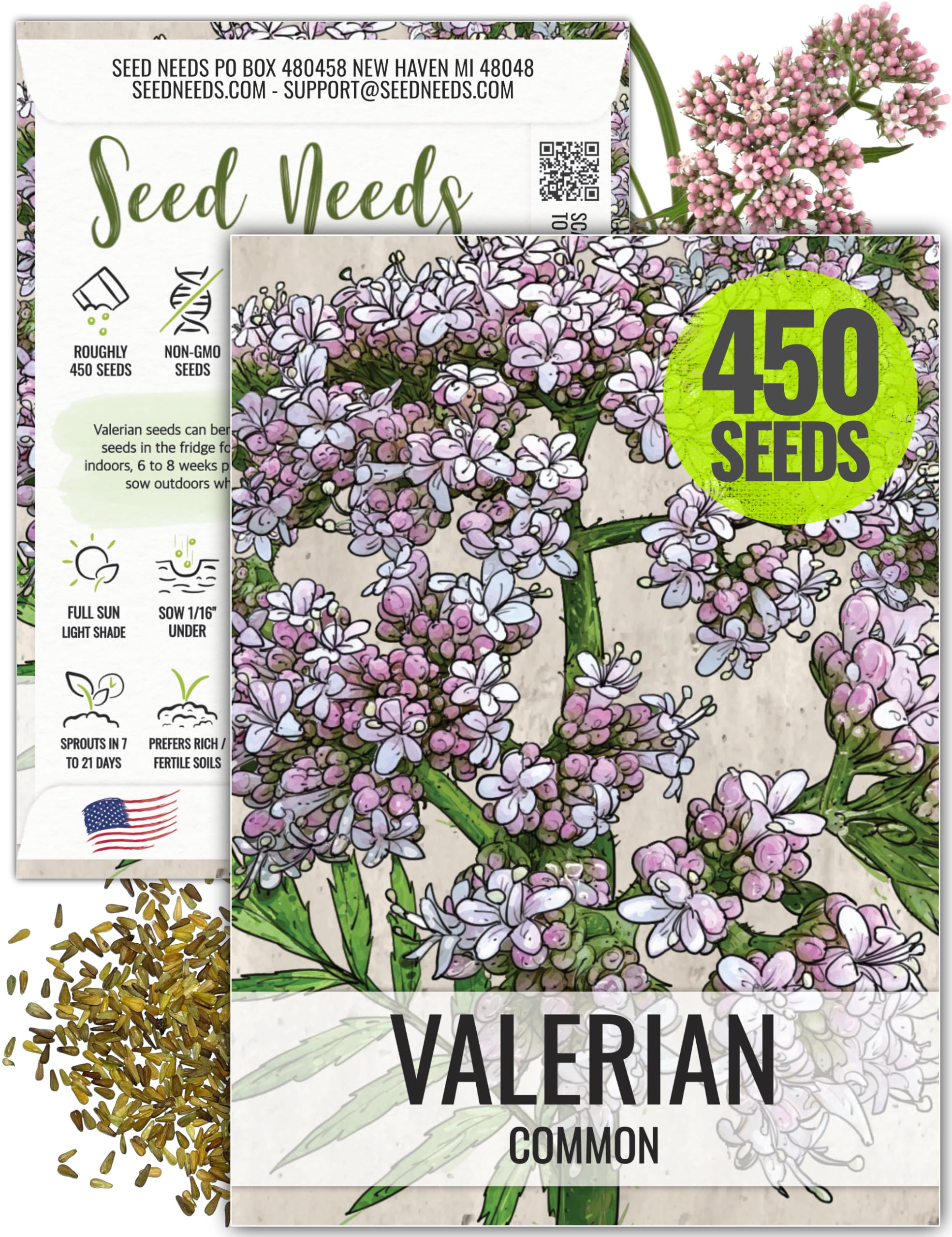 Seed Needs Valerian Seeds for Planting Stink Root Plants - Non-GMO Heirloom & Untreated Perennial Medicinal Herb Seed to Plant a Home Grown Outdoor Garden (1 Pack)