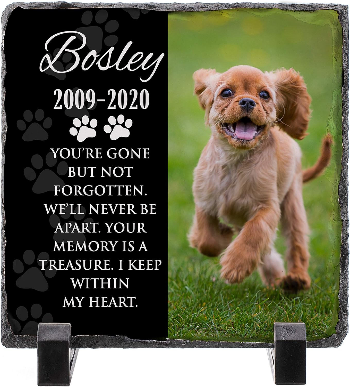 Personalized Dog Memorial Stone with Photo, Custom Dog Memorial Plaque - 12x12 Granite - Dog Memorial Frame, Loss of Dog Gift, Indoor & Outdoor Tombstone/Headstone for Dogs, Cats - D1