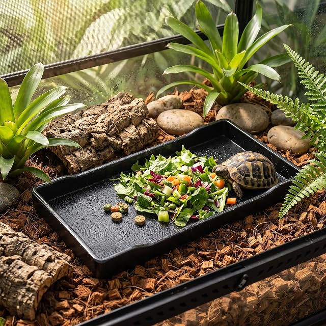 Foto 4 de 5 de Reptiles Bandeja de Agua, plástico Antideslizante Escalada Mascota Tortuga Camaleón Lagarto Cuadrado Bebedero…