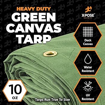 91iFqBjpwaL._AC_UF350,