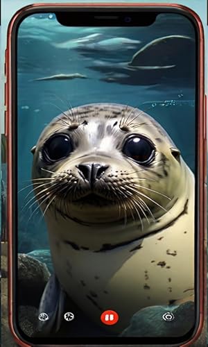 Fake Call Seal - Video Call & Fake Video Game Prank - Game For Kids