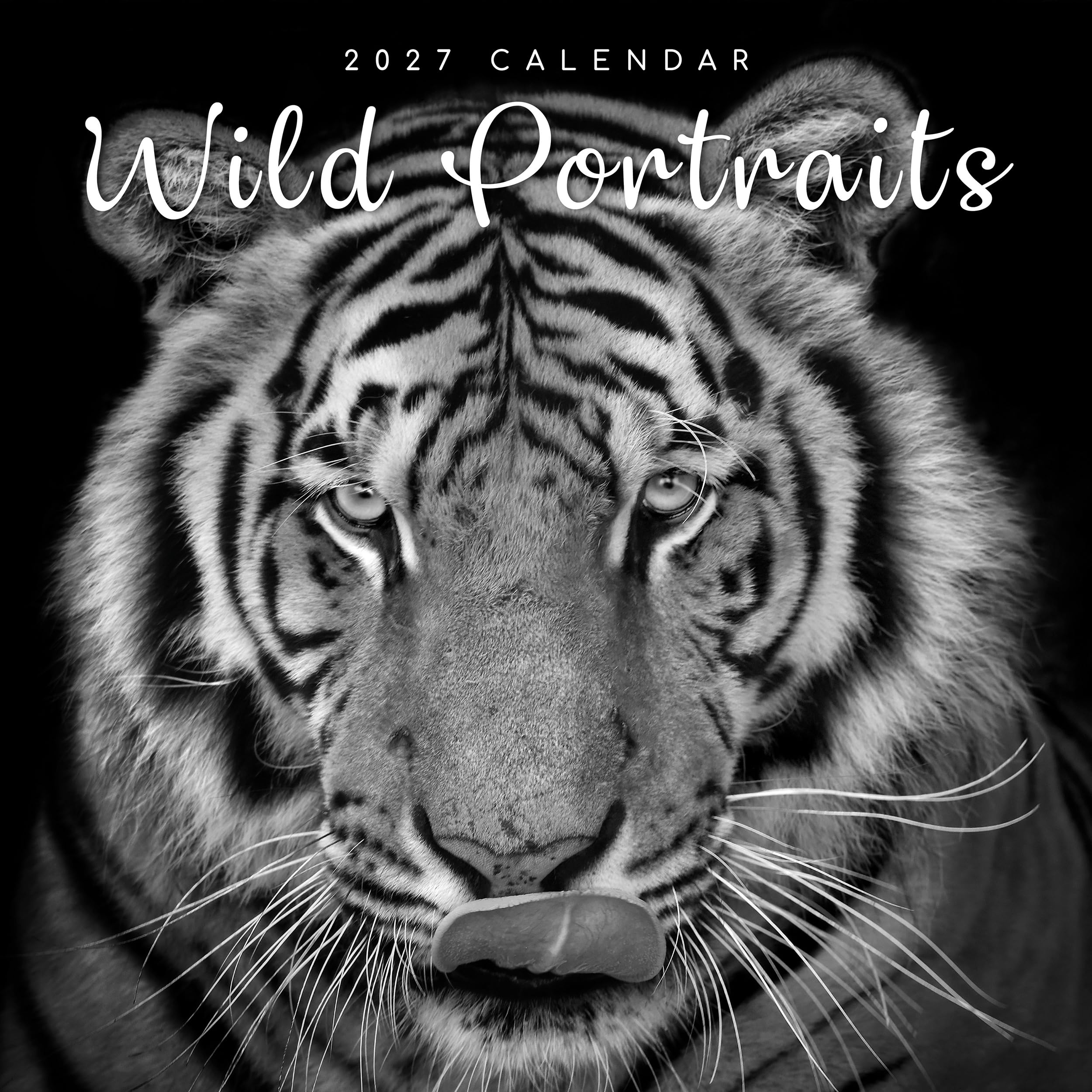 TGSC | Wild Portraits 2026-2027 Calendar, 16-Month Square Wall Calendar (Sept 2026 – Dec 2027), UK Planner with Black and White Wildlife, For Nature Lovers, Home Decor, Office Organiser | 30 x 30 cm