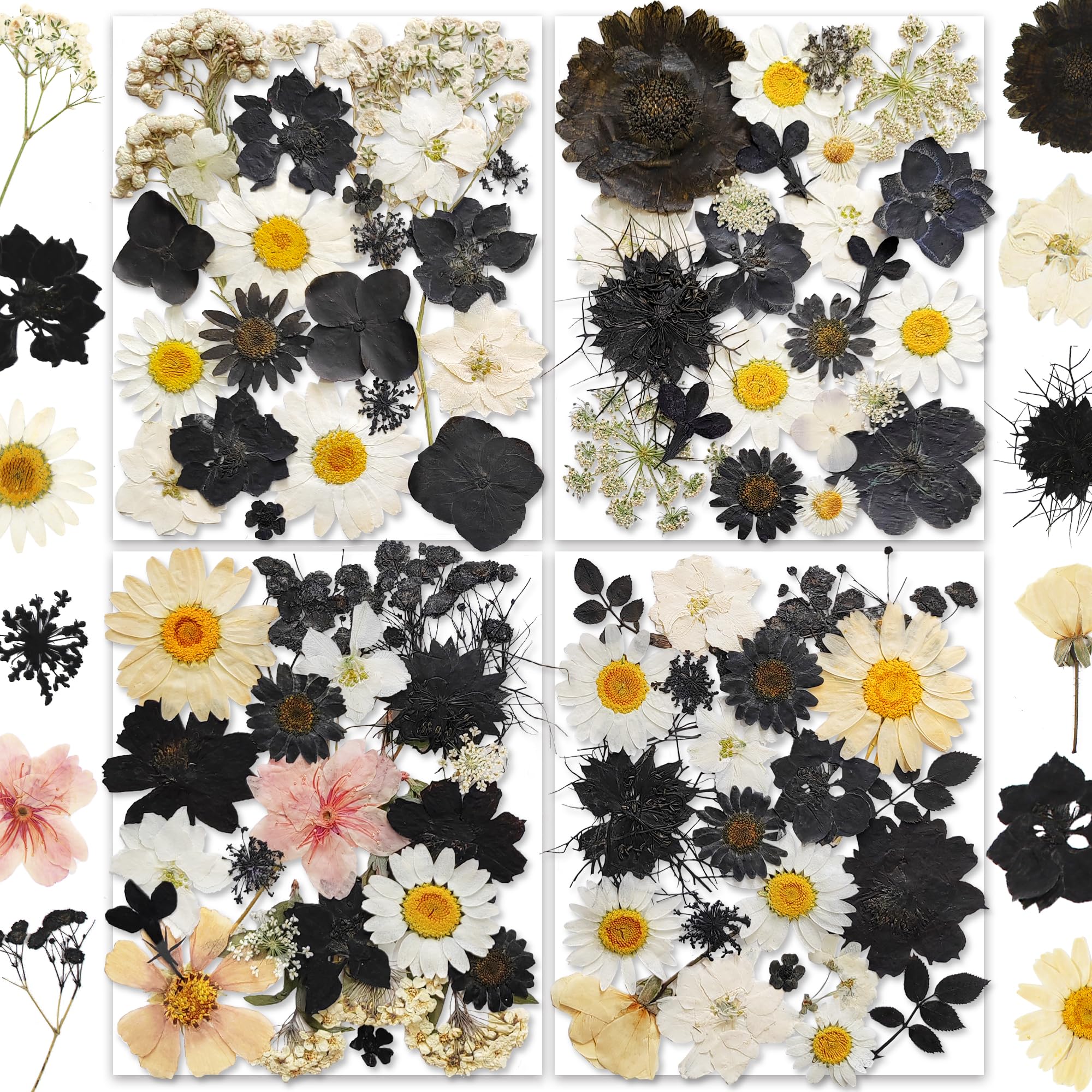YouthBro 140Stück Schwarz Weiß Getrocknete gepresste Blumen mit Schmetterling Aufkleber für Echte Natur Blumen Set für Kunstharz DIY Schmuck Kerze Seife Vase