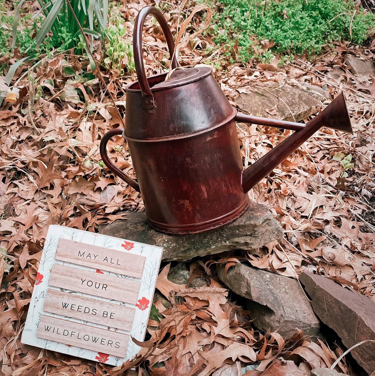 Antique Red Watering Can