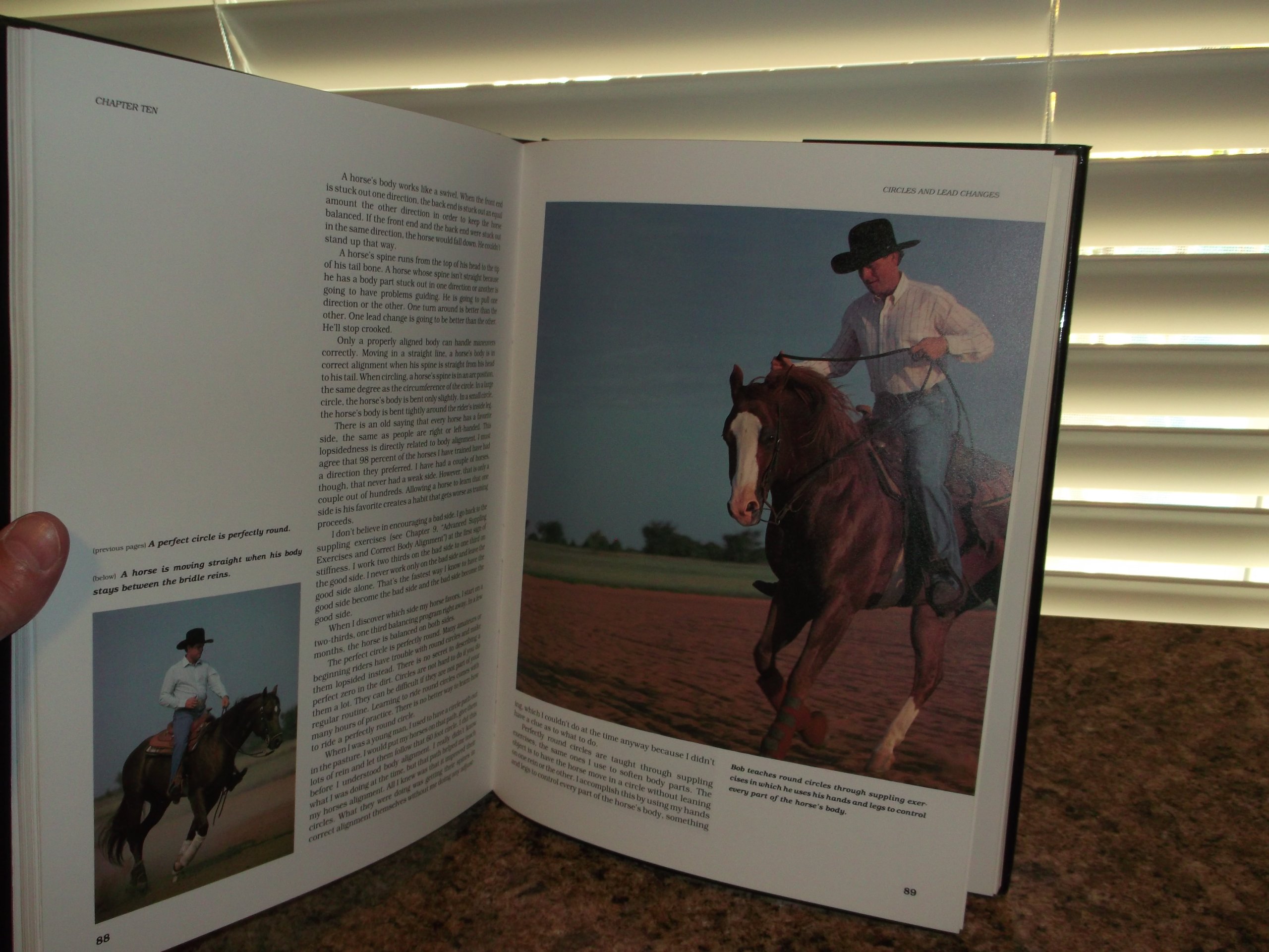 Reining: The Art of Performance in Horses