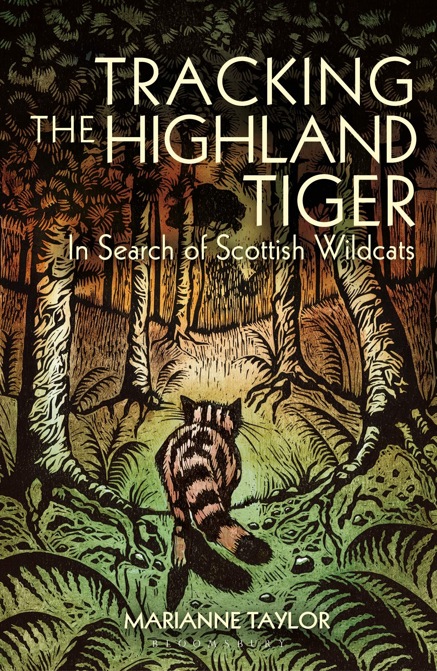 Bloomsbury Wildlife Tracking The Highland Tiger