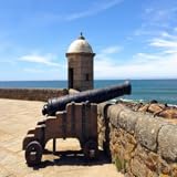 mayones Memory game Mayon