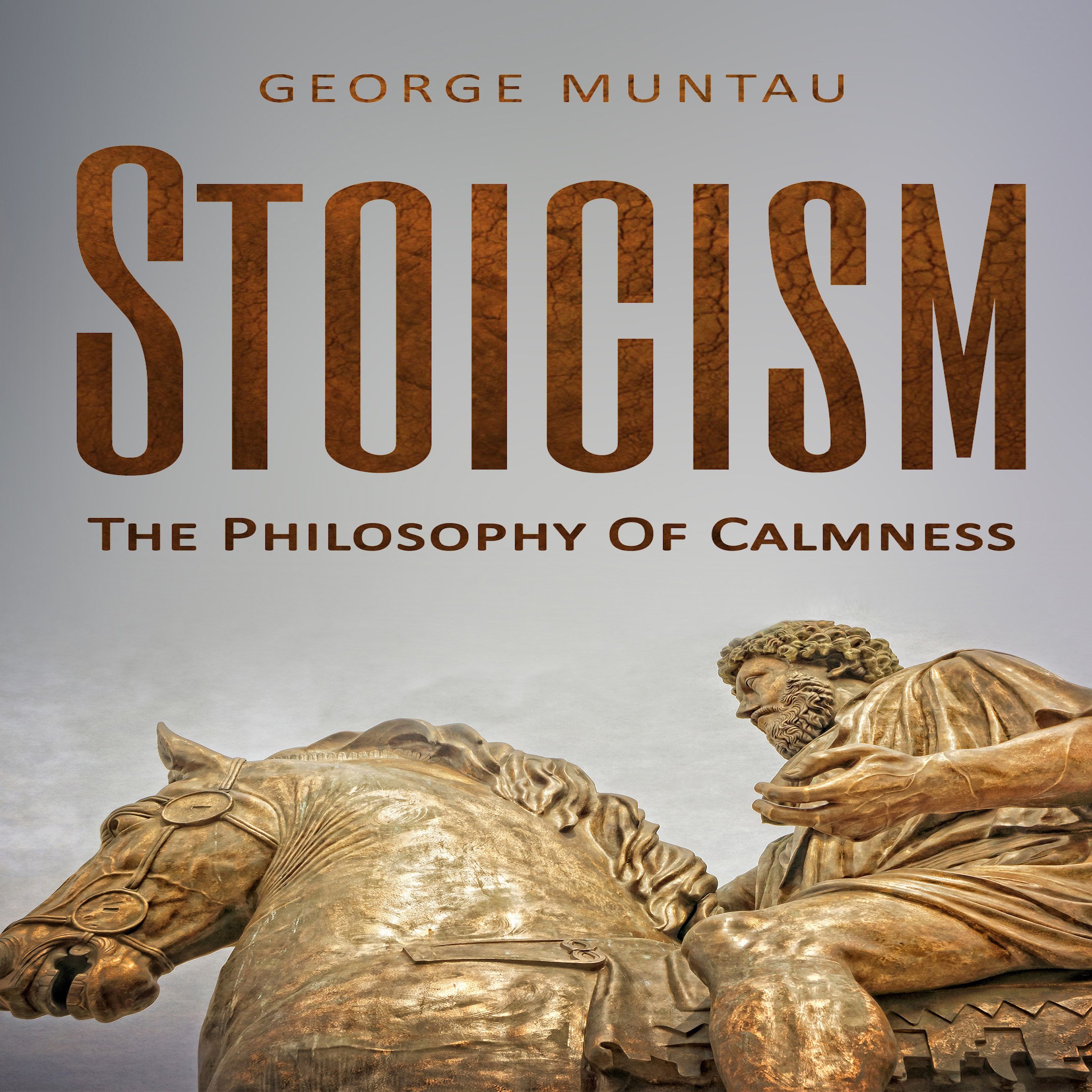 Cover art for Stoicism