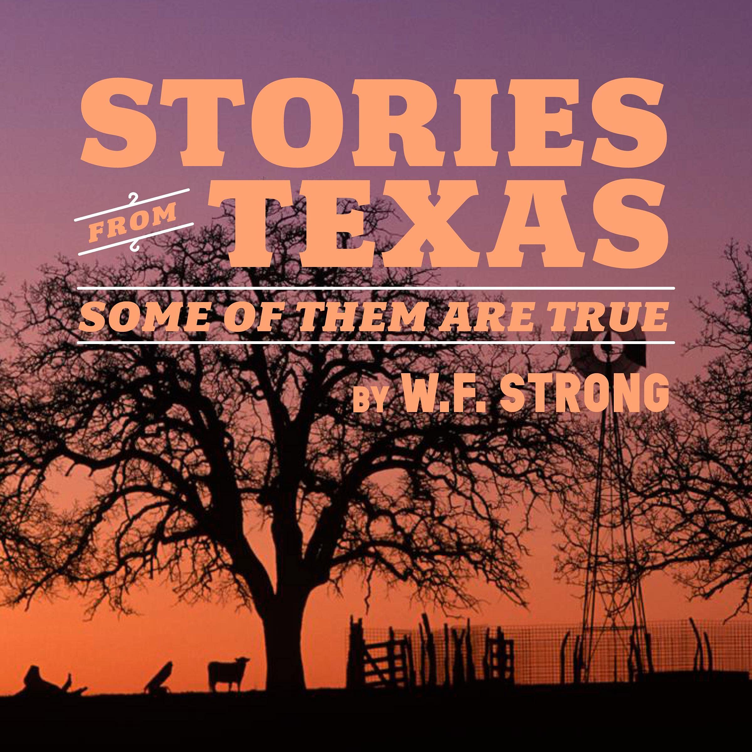 Cover art for Stories from Texas: Some of Them Are True
